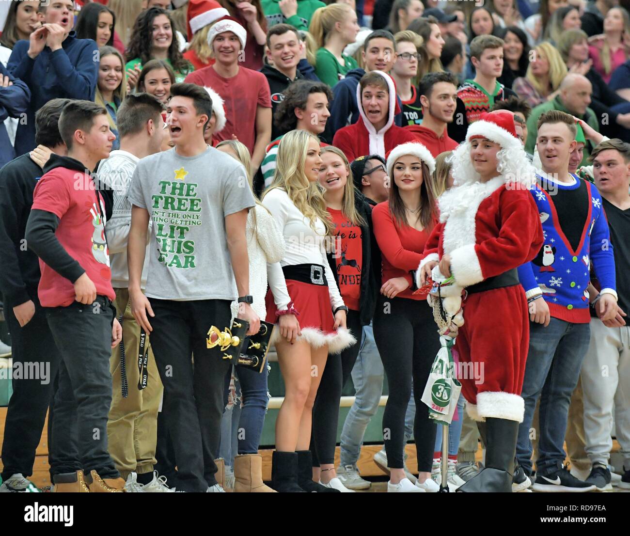 Bartlett, Illinois, Stati Uniti d'America. Gli studenti delle scuole superiori a sostegno della propria squadra di basket in una partita prima delle vacanze di Natale. Foto Stock
