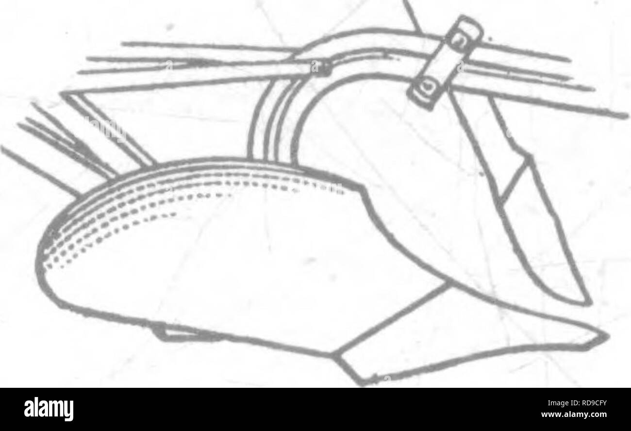 . Terreni produttivi; le basi del successo di gestione del suolo e proficua produzione di raccolto. Suoli. . Si prega di notare che queste immagini vengono estratte dalla pagina sottoposta a scansione di immagini che possono essere state migliorate digitalmente per la leggibilità - Colorazione e aspetto di queste illustrazioni potrebbero non perfettamente assomigliano al lavoro originale. Weir, Wilbert Walter, 1882-. Philadelphia Londra, J. B. Lippincott company Foto Stock