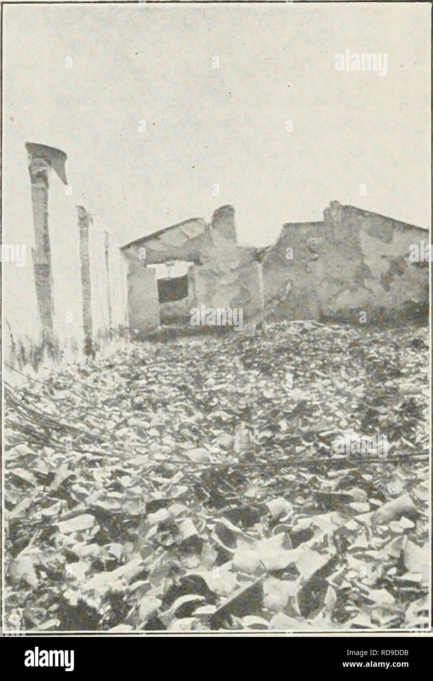 . La revisione di Cuba. Cuba -- periodici. l:"! T H E-yiC UBA REVIEW. Si prega di notare che queste immagini vengono estratte dalla pagina sottoposta a scansione di immagini che possono essere state migliorate digitalmente per la leggibilità - Colorazione e aspetto di queste illustrazioni potrebbero non perfettamente assomigliano al lavoro originale. Munson Steamship Line. New York : Munson Steamship Line Foto Stock