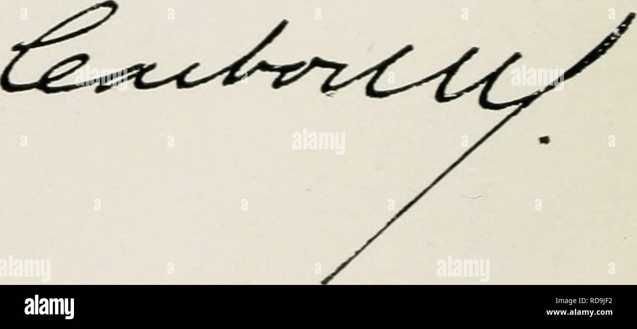 . I Cubani di al-giorno. Cuba -- biografia. . Si prega di notare che queste immagini vengono estratte dalla pagina sottoposta a scansione di immagini che possono essere state migliorate digitalmente per la leggibilità - Colorazione e aspetto di queste illustrazioni potrebbero non perfettamente assomigliano al lavoro originale. Parker, William Belmont, 1871-1934. New York, G. P. Putnam Sons Foto Stock