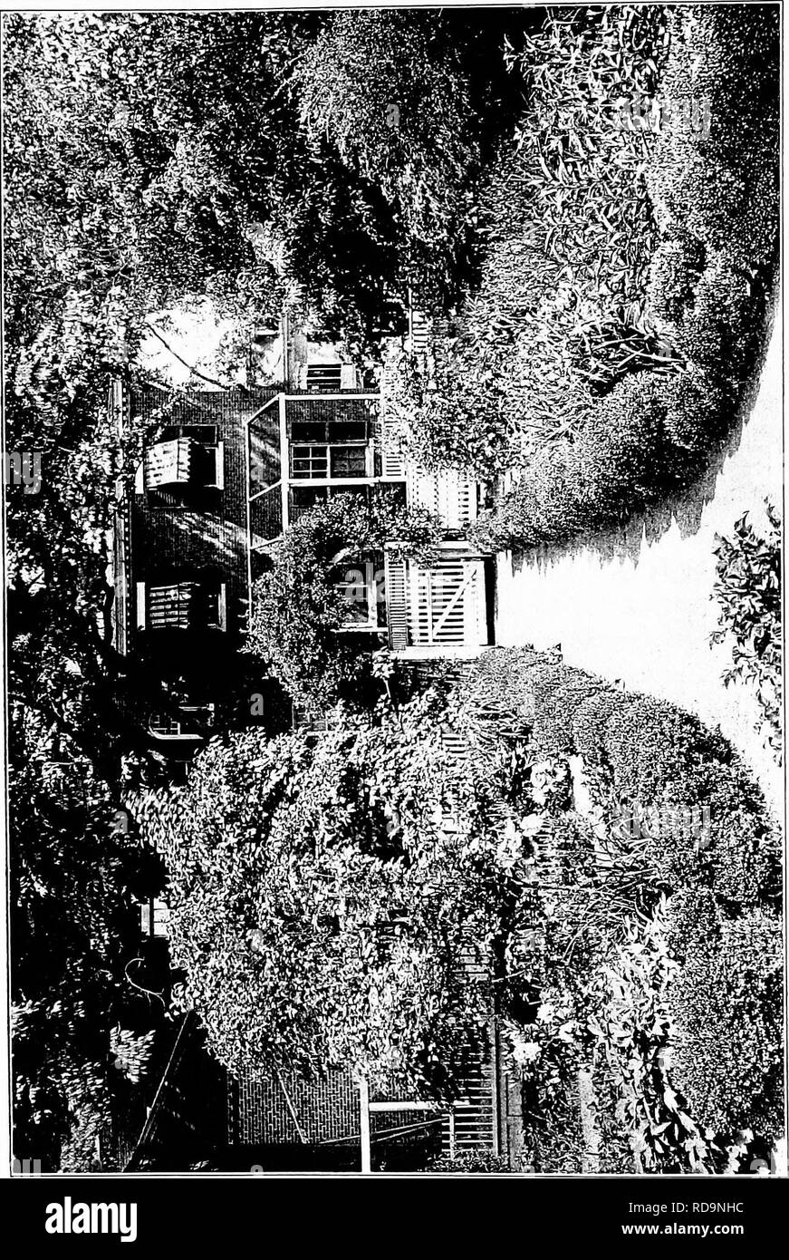 . Giardini vicino al mare; la realizzazione e la cura dei giardini su o vicino alla costa con riferimento anche per prati e giardini e da alberi e arbusti. Il giardinaggio. . Si prega di notare che queste immagini vengono estratte dalla pagina sottoposta a scansione di immagini che possono essere state migliorate digitalmente per la leggibilità - Colorazione e aspetto di queste illustrazioni potrebbero non perfettamente assomigliano al lavoro originale. Lounsberry, Alice. New York, Frederick A. Stokes company Foto Stock