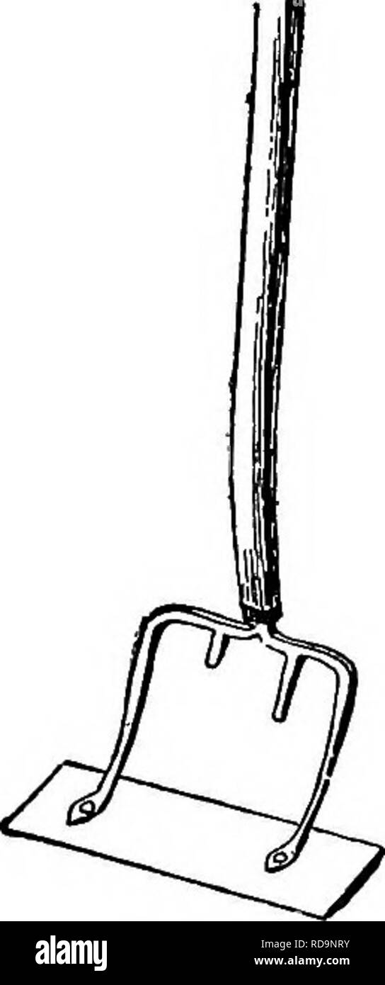 . Manuale di giardinaggio : una guida pratica per la realizzazione di motivi di casa e la coltivazione di fiori, frutta e verdura per uso domestico . Il giardinaggio. Una macchina scarificatrice. 99 fatte in casa scarificatrice. babes in operazioni di diserbatura non possono sapere quando è reso veloce lato destro fino a la zappa. "Ci sono un sacco di spinta-le zappe nel mercato, come sono. Alcune dispongono di ferro malleabile prese e archi - più pesante per il compratore e più economico per il concessionario - invece di- battuto ferro e acciaio, come è richiesto per il vero valore." scarificatori.. 100. Fatta in Casa scarificatore o raschiatore. Per molti scopi, strumenti che raschiare o scarificatrico Foto Stock