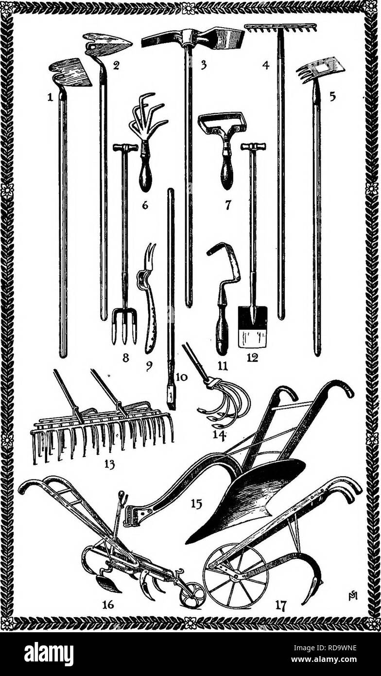 . Un manuale di erbacce : con le descrizioni di tutti i più perniciosi e fastidioso piante negli Stati Uniti e in Canada, le loro abitudini di crescita e di distribuzione, con metodi di controllo . Le erbacce. Strumenti per distruggere le erbacce 1. Larghe Hoe. 2. Modello di Warren Garden Hoe. 3. L' ESTIRPAZIONE Hoe. 4. Nasello. 5. Weeding Hoe. 6,7,11. Sarchiatrici a mano. 8. Spading forcella. 9. Root-escavatore 10. Spud. 12. Spade. 13. Operazioni di diserbatura Harrow con alberi e denti regolabili. 14. La coltivazione di zappa. 15. Il flusso. 16. Coltivatore, con lame regolabili ot diverse dimensioni. 17.WheelHoe.. Si prega di notare che queste immagini sono estratte dal sc Foto Stock