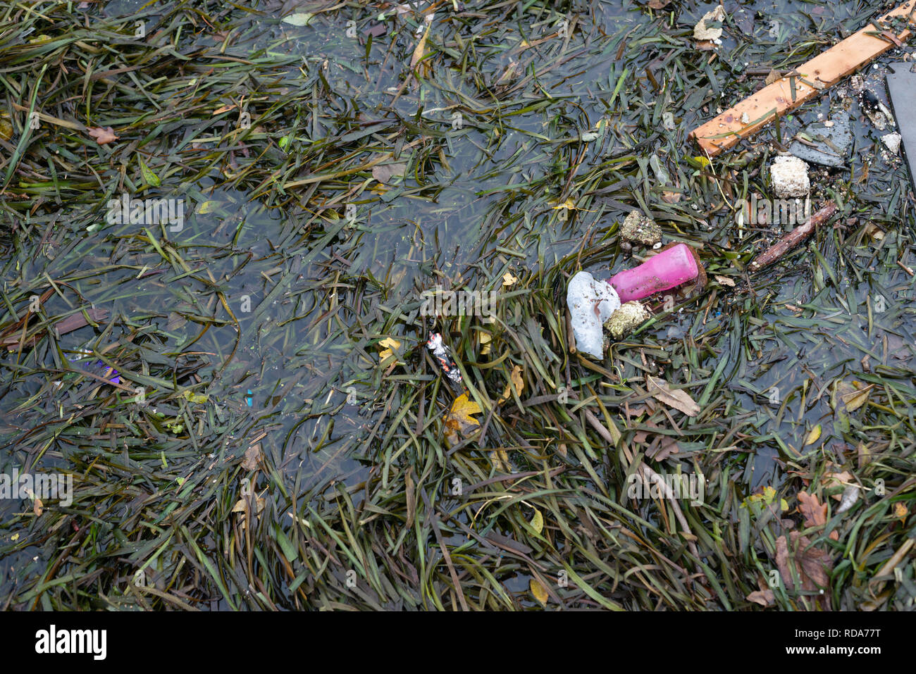 Scartata la spazzatura che si trova lungo il fiume Lea in Londra, Regno Unito Foto Stock