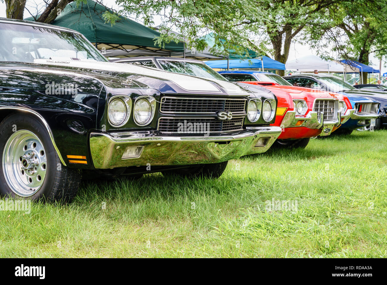 Detroit, Michigan, Agosto 19, 2016: auto d'epoca sul display a Woodward crociera da sogno - il più grande di un Giorno con evento automobilistico NEGLI STATI UNITI Foto Stock