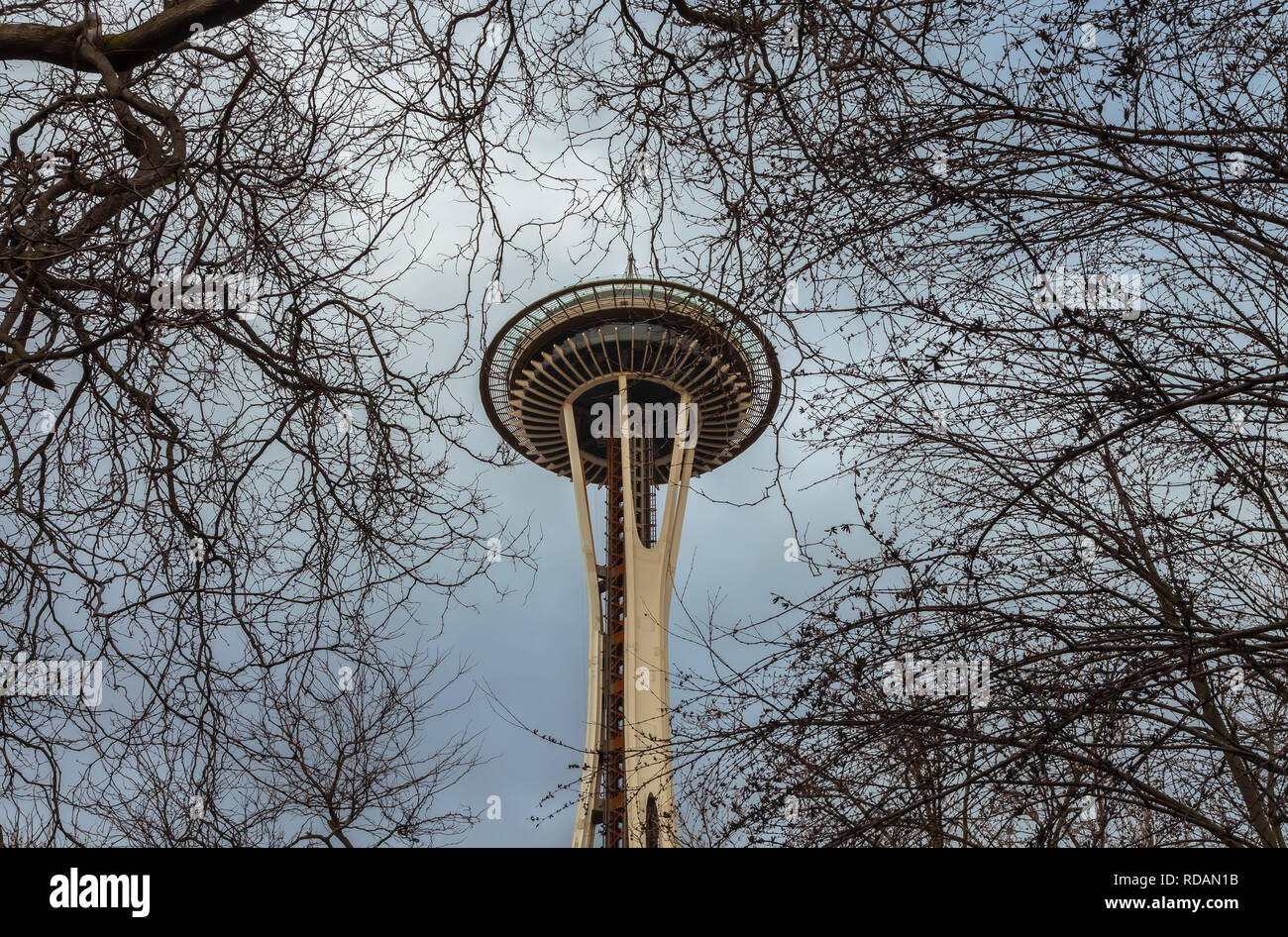 Lo Space Needle visto attraverso i rami degli alberi durante la stagione invernale, Seattle, Washington, Stati Uniti. Foto Stock