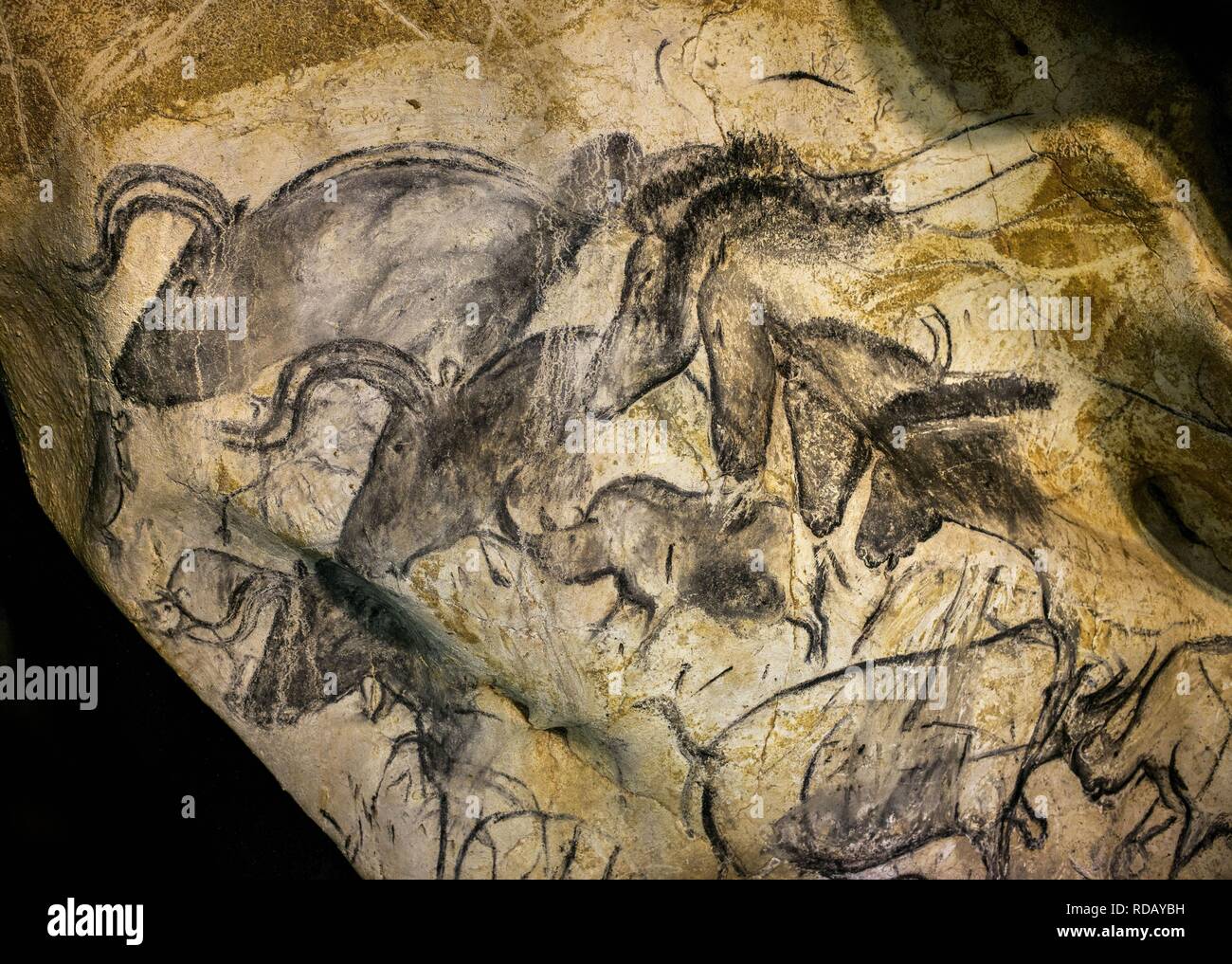 Pittura nella grotta Chauvet. Museo: Grotte Chauvet. Autore: arte del Paleolitico superiore. Foto Stock