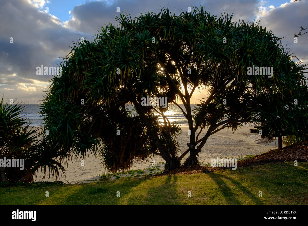 Coolum Beach, Sunshine Coast, Queensland, Australia Foto Stock