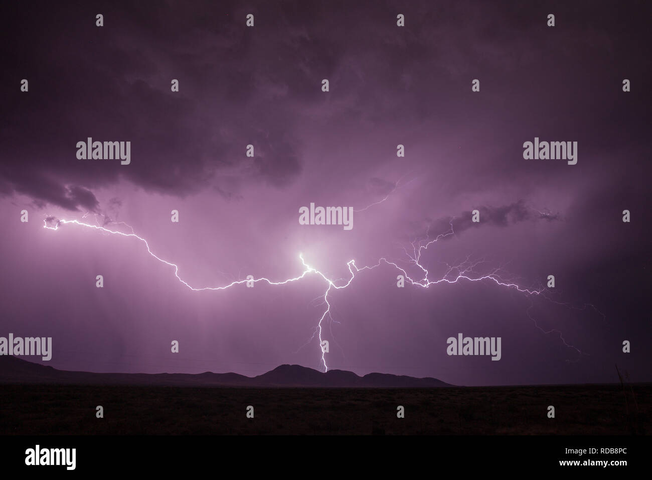 Un fulmine si diffonde in tutto il cielo notturno vicino a Fort Hancock, Texas, nei pressi di El Paso, durante l'estate stagione dei monsoni Foto Stock