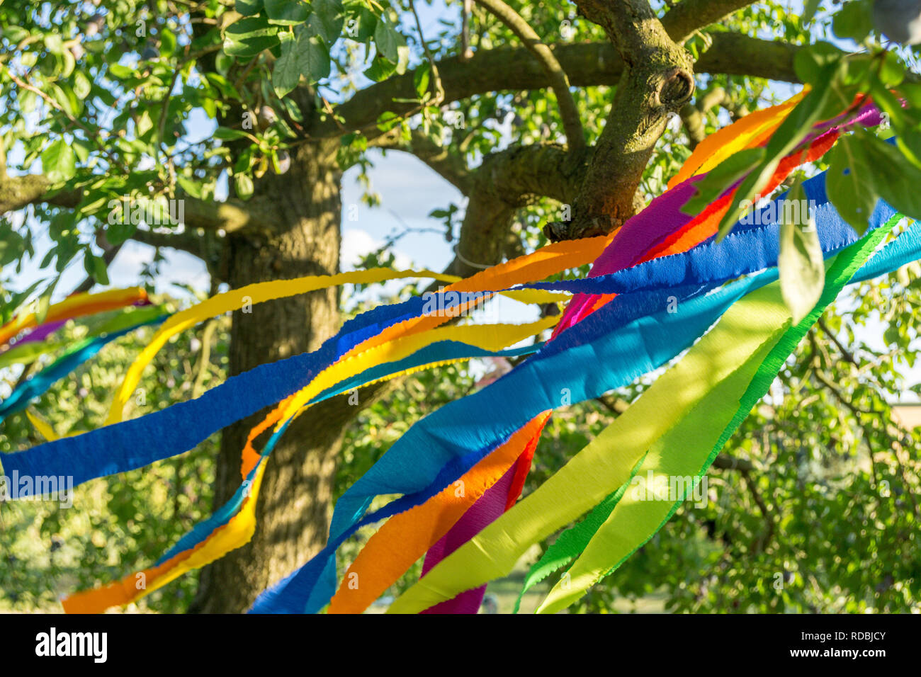 Strisce colorate o bande a un albero nel giardino - Concetto di immagine di un giardino pary Foto Stock