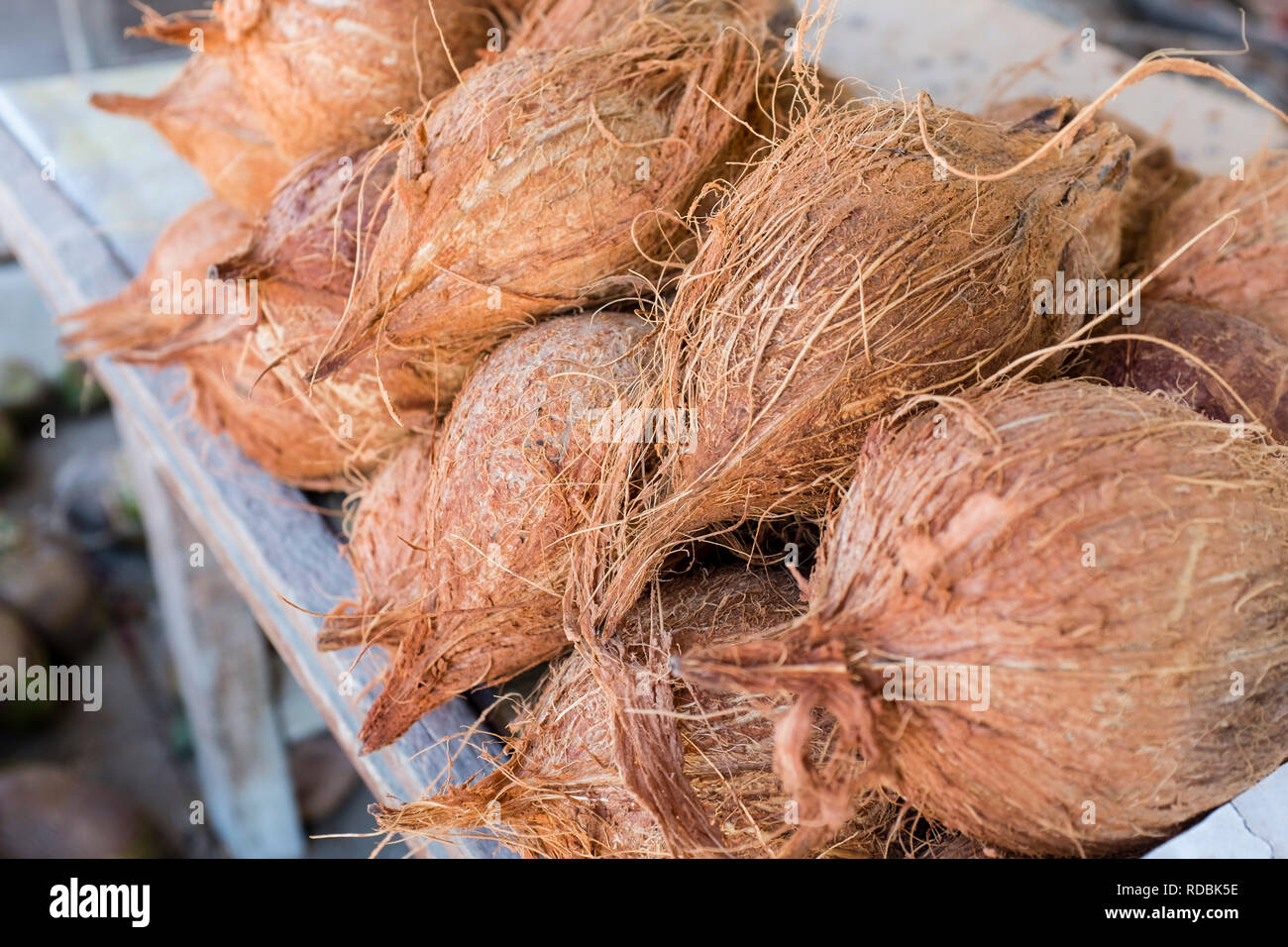 Noci di cocco per la vendita in corrispondenza di un bordo strada stallo, Salalah, Dhofar governatorato, Oman Foto Stock