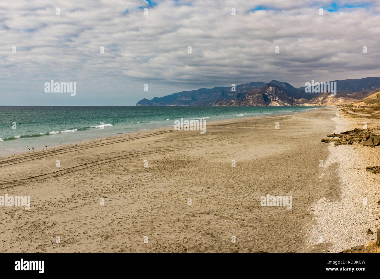Il litorale di Mughsayl, vicino a Salalah, provincia di Dhofar, Oman Foto Stock