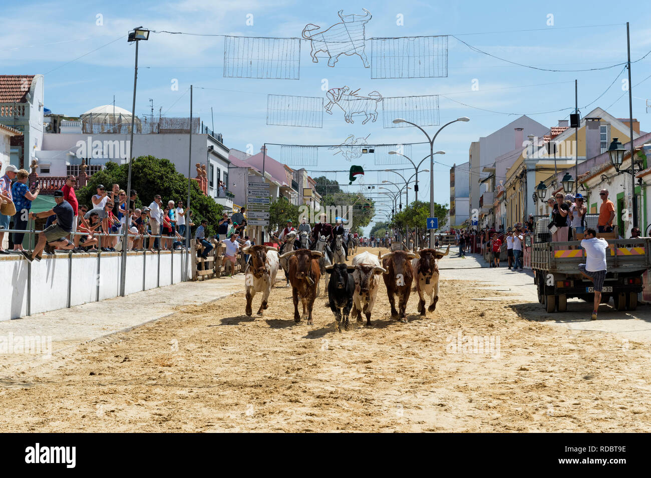 Sfilata di cavalli e di tori per le strade durante le feste locali fare Barrete Verde e das Salinas, Alcochete, Provincia di Setubal, Portogallo Foto Stock