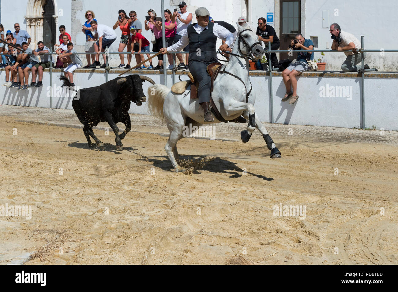 Tori selvaggi in esecuzione e guidato da cavalieri in strade, feste locali fare Barrete Verde e das Salinas, Alcochete, Provincia di Setubal, Portogallo Foto Stock