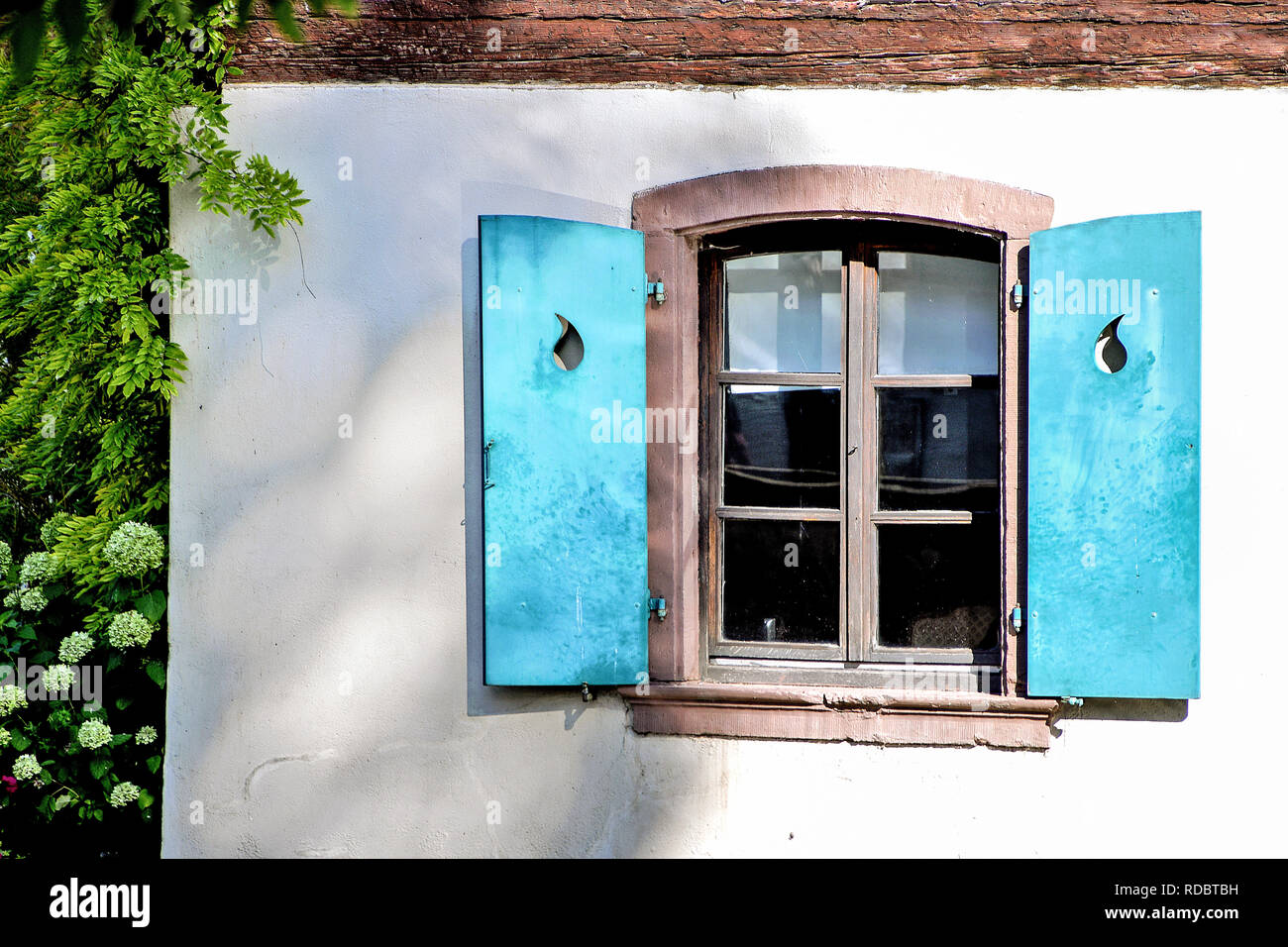 Turchese brillante retrò persiane di legno sulla finestra di casa con ombre ad albero Foto Stock