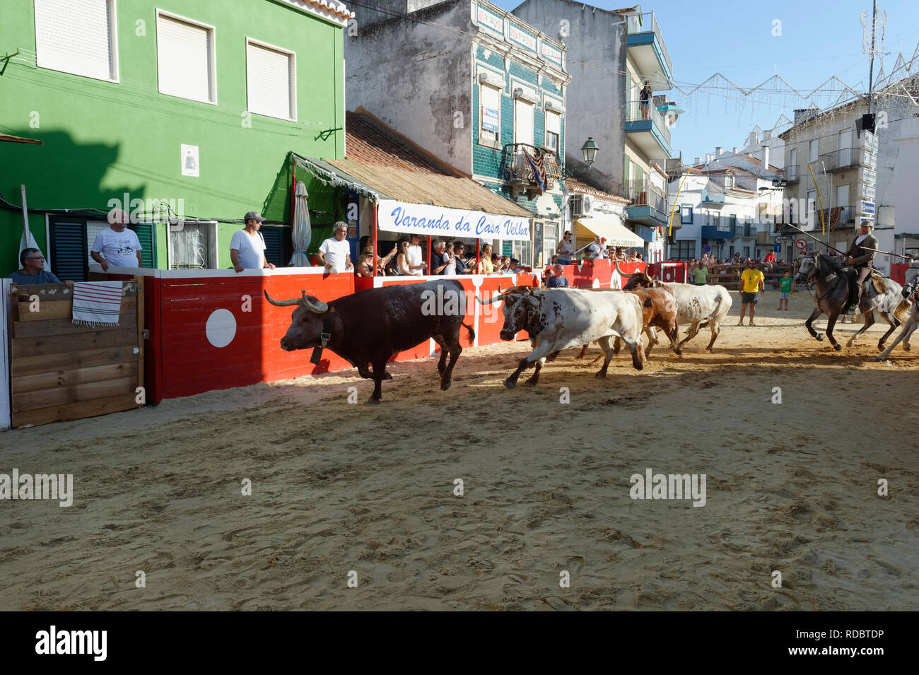 Largada tradizionale de Toiros, Street la corrida, feste locali fare Barrete Verde e das Salinas, Alcochete, Provincia di Setubal, Portogallo Foto Stock