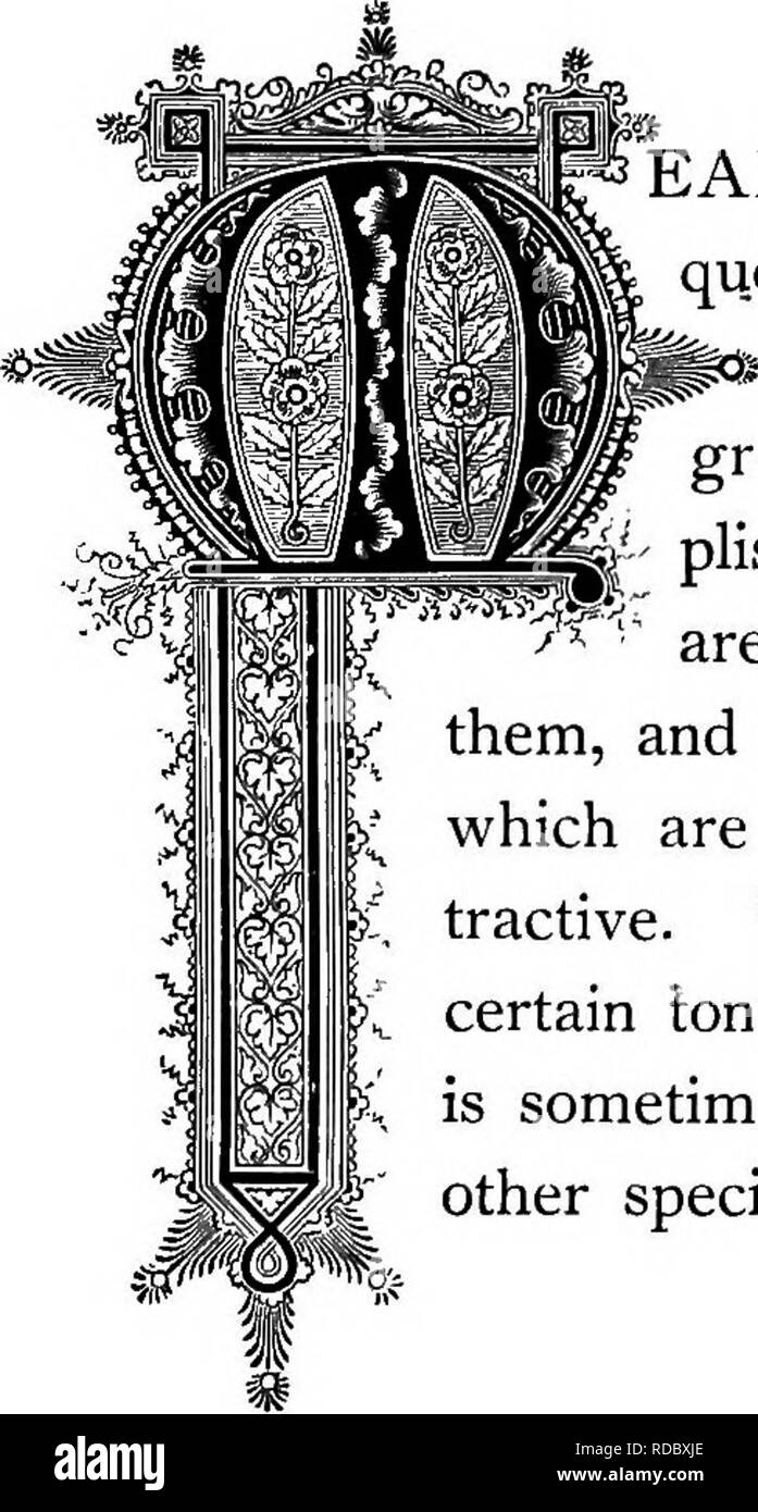 . La Floral Kingdom : la sua storia, il sentimento e la poesia : un dizionario di oltre trecento piante, con i generi e le famiglie a cui appartengono e la lingua di ciascun illustrato con opportune le gemme per la poesia . Lingua dei fiori; i fiori in letteratura. &Amp;r Spiroea Â©alicifolia. Ordine naturale: RosaceaâRose famiglia. EADOW terre, negli Stati Uniti e in Canada sono fre- temente la scelta sedi di questo piccolo arbusto assottigliata che è su tale account chiamato regina del prato. Si sviluppa per una altezza di tre o quattro piedi, avente una purea- plish stelo, che è molto fragile in texture. Foto Stock