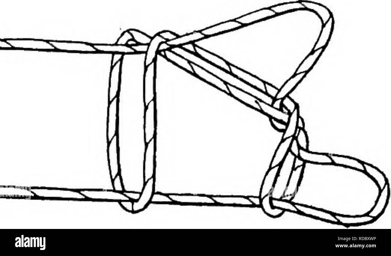 . Relazione della Artico Canadese Expedition 1913-18. Spedizioni scientifiche. Â - -- '^'^. Fig. 5 IV. Due le pecore di montagna questa figura è chiamato "le due pecore di montagna" {imne-k) da Barrow e la navigazione Eschimesi. Un Port nativo di Clarence, tuttavia, lo ha chiamato "i due conigli", mentre per un Diomede Islander era noto come "due caribù con le loro corna." (questo era il nativo che ha chiamato "i due orsi bruni" (n. 1), "l'Caribou Coffee Company senza il loro corna.") La Mackenzie e incoronazione golfo Eschimesi chiamato la figura "i due orsi bruni con thei Foto Stock