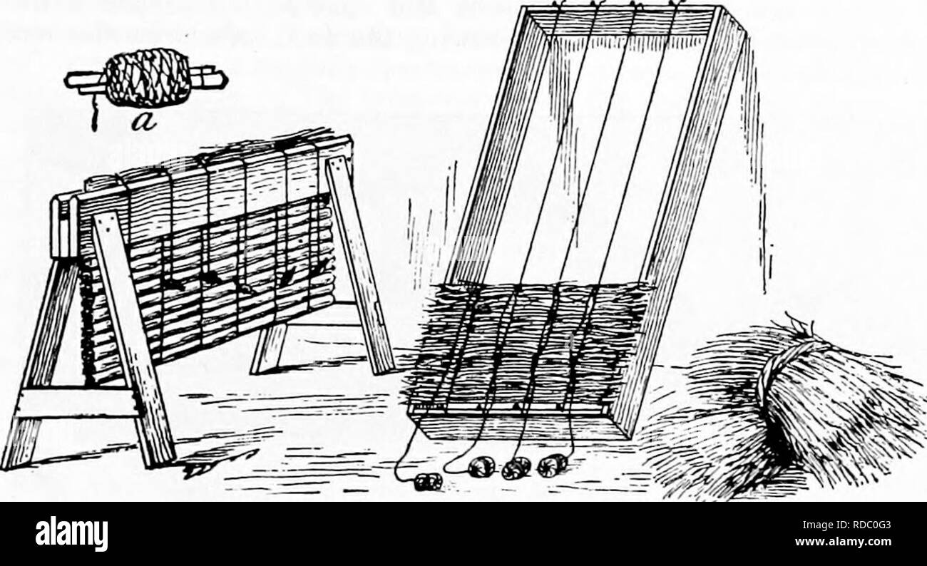 . Propagazione nel vegetale : serra e vivaio pratica . Propagazione nel vegetale. Sl£!:i) TICSTIXG 51 78. Lo smorzamento-off è un vivaista e giardiniere del mandato per il decadimento di piantine e talee, più specialmente appena al di sopra della superficie del terreno. Le condizioni che favoriscono la it sono un eccesso di umidità in entrambe del suolo e dell'aria, temperatura superiore rispetto a quella necessaria per il normale impianto de- velopment, e scarsa luce. Le piante deboli che si sviluppano in queste condizioni soccombere a minuscoli funghi che vivono su di decadimento di materia vegetale nel suolo e. FIG. 42-telai per la stuoia di paglia rendendo questi sono fatti in casa contr Foto Stock