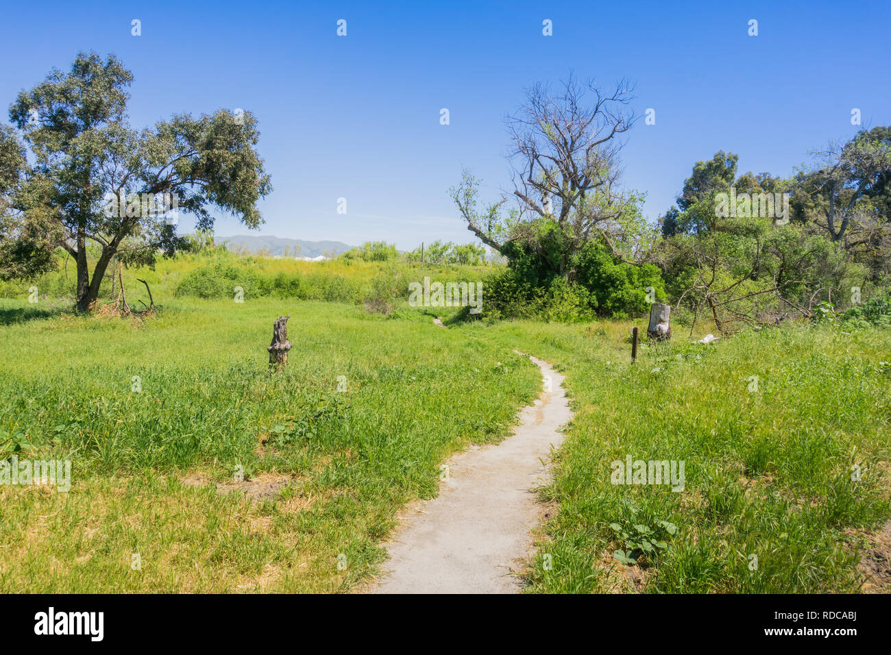 Percorso a piedi in Ulistac Area Naturale, Santa Clara, South San Francisco Bay Area, California Foto Stock