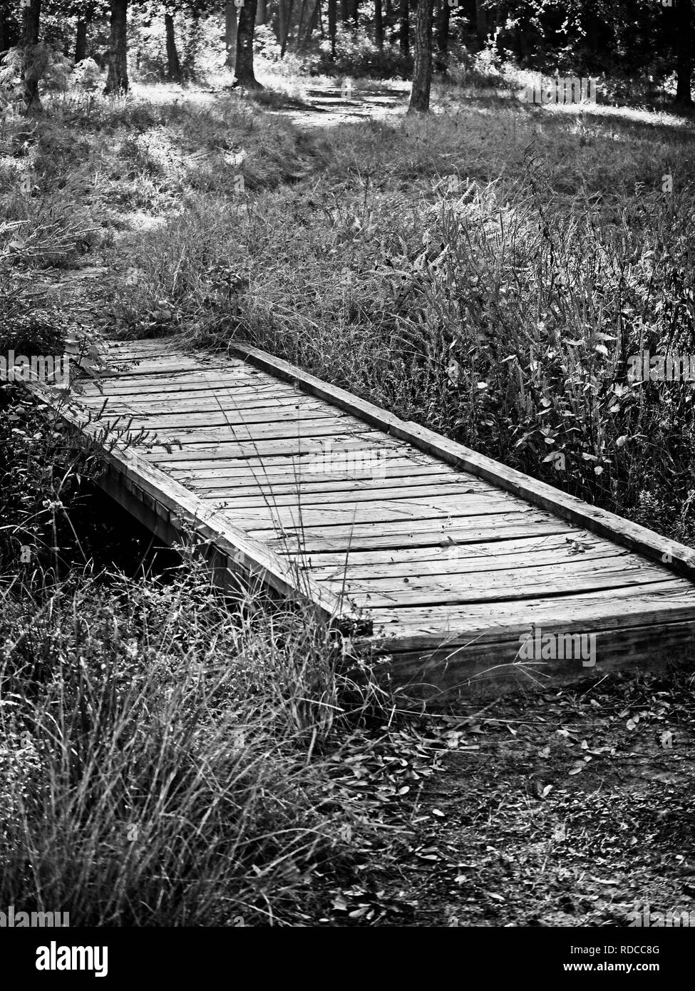 Il Woodlands TX USA - 10-30-2018 - piedi ponte sul torrente in B&W Foto Stock