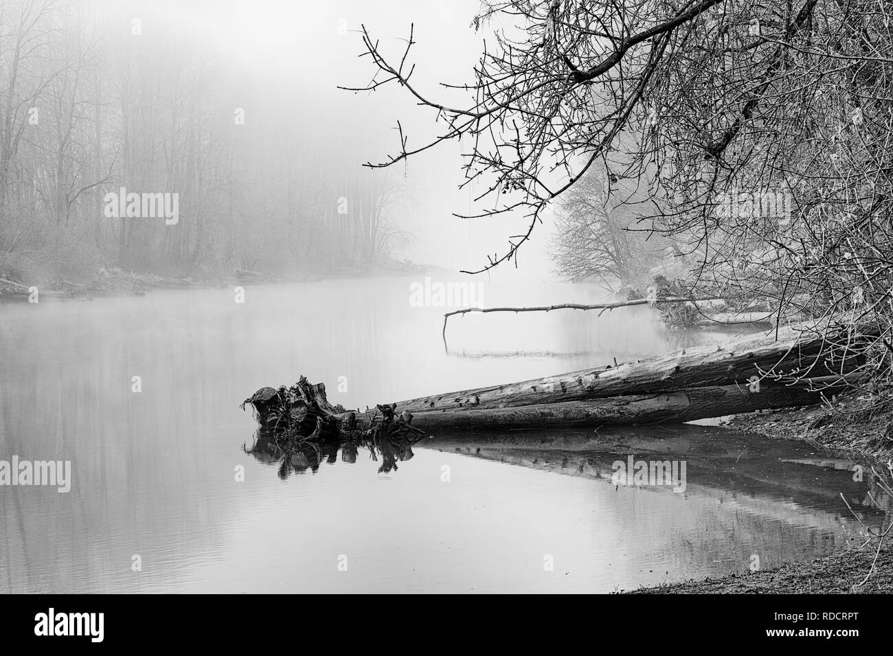 Nebbia di congelamento lungo le rive del fiume Columbia Slough al Kelly Point Park, Portland, Oregon Foto Stock