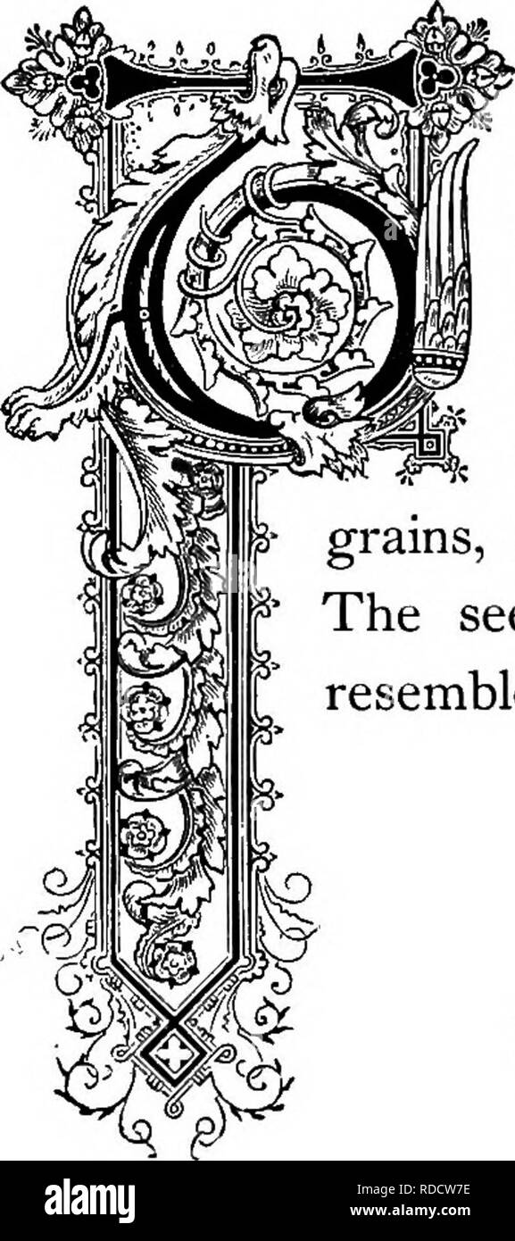 . La Floral Kingdom : la sua storia, il sentimento e la poesia : un dizionario di oltre trecento piante, con i generi e le famiglie a cui appartengono e la lingua di ciascun illustrato con opportune le gemme per la poesia . Lingua dei fiori; i fiori in letteratura. Se^' f. q uando vice prevale ed empia uomini bear sway, il posto di onore è una stazione privata. ÂAddison. QIN, come un ape, verso i tuoi alveare può portare ^ un po' di miele,' ma N" 'T^qui abita nel sinlessness della gioventù miele", ma si aspettano il pungiglione. ÂWatkyiis. Un dolce rimprovero che il vizio non può sopportare. ÂMrs. Evibitry. O penitenza c Foto Stock