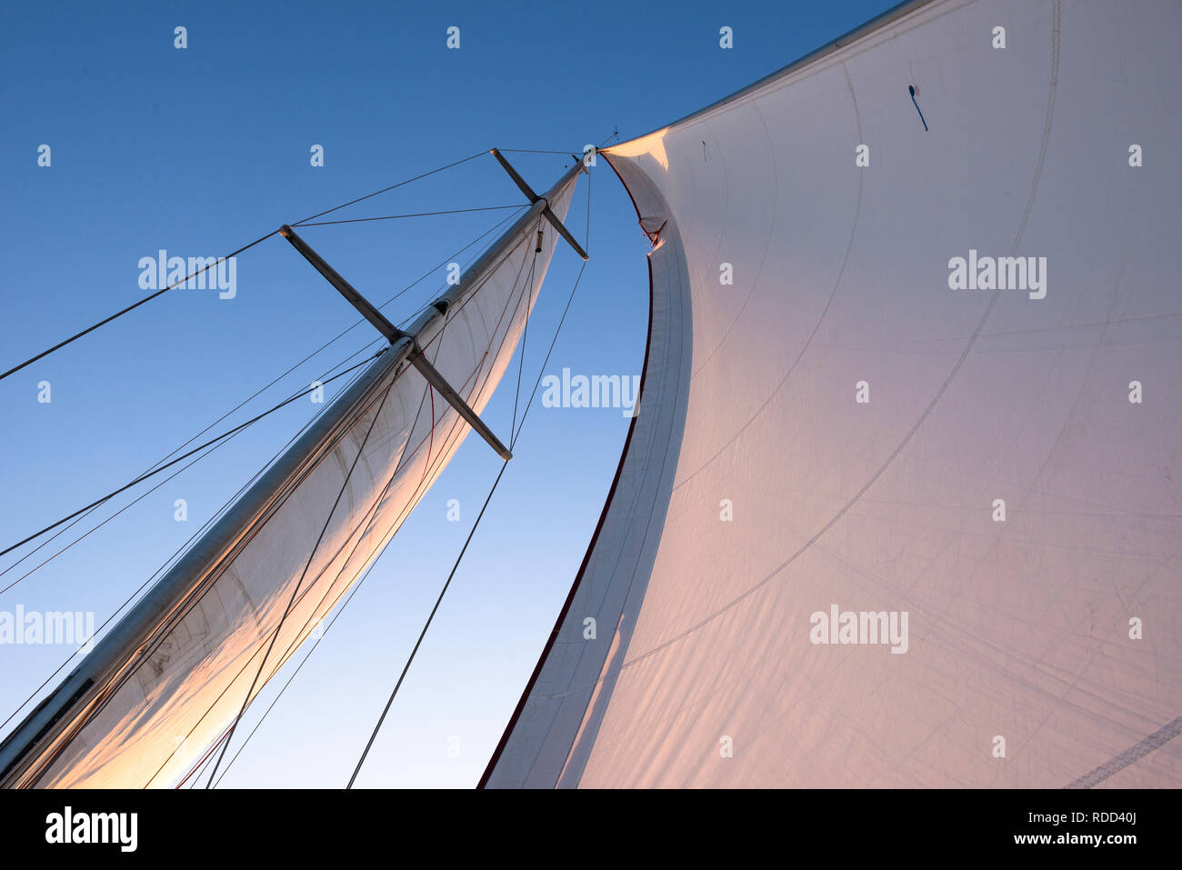 Vele di una imbarcazione a vela Foto Stock