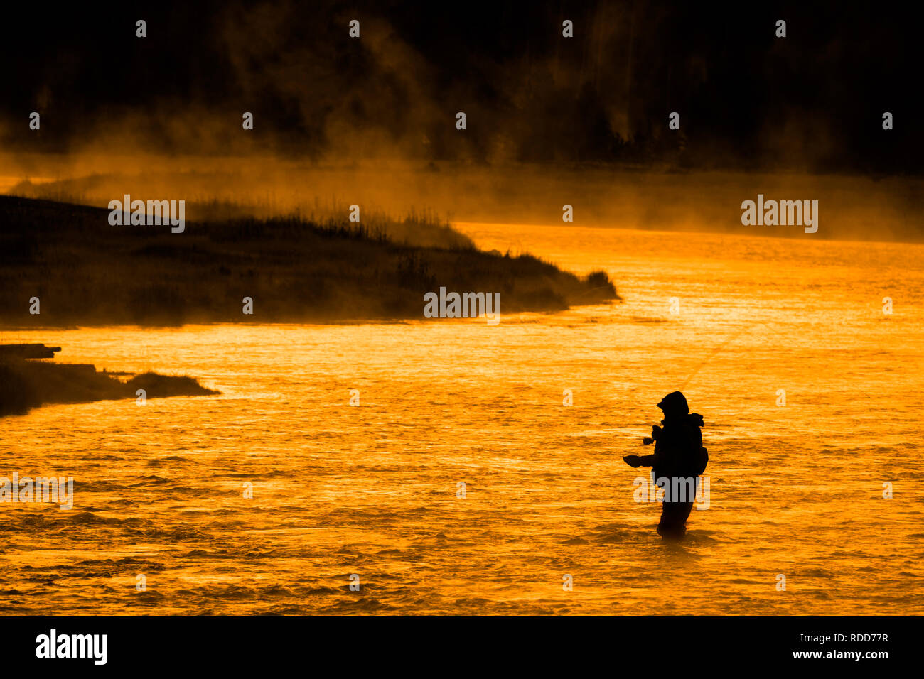 Silhouette della pesca a mosca rod reel in fiume con la luce del sole dorato Foto Stock