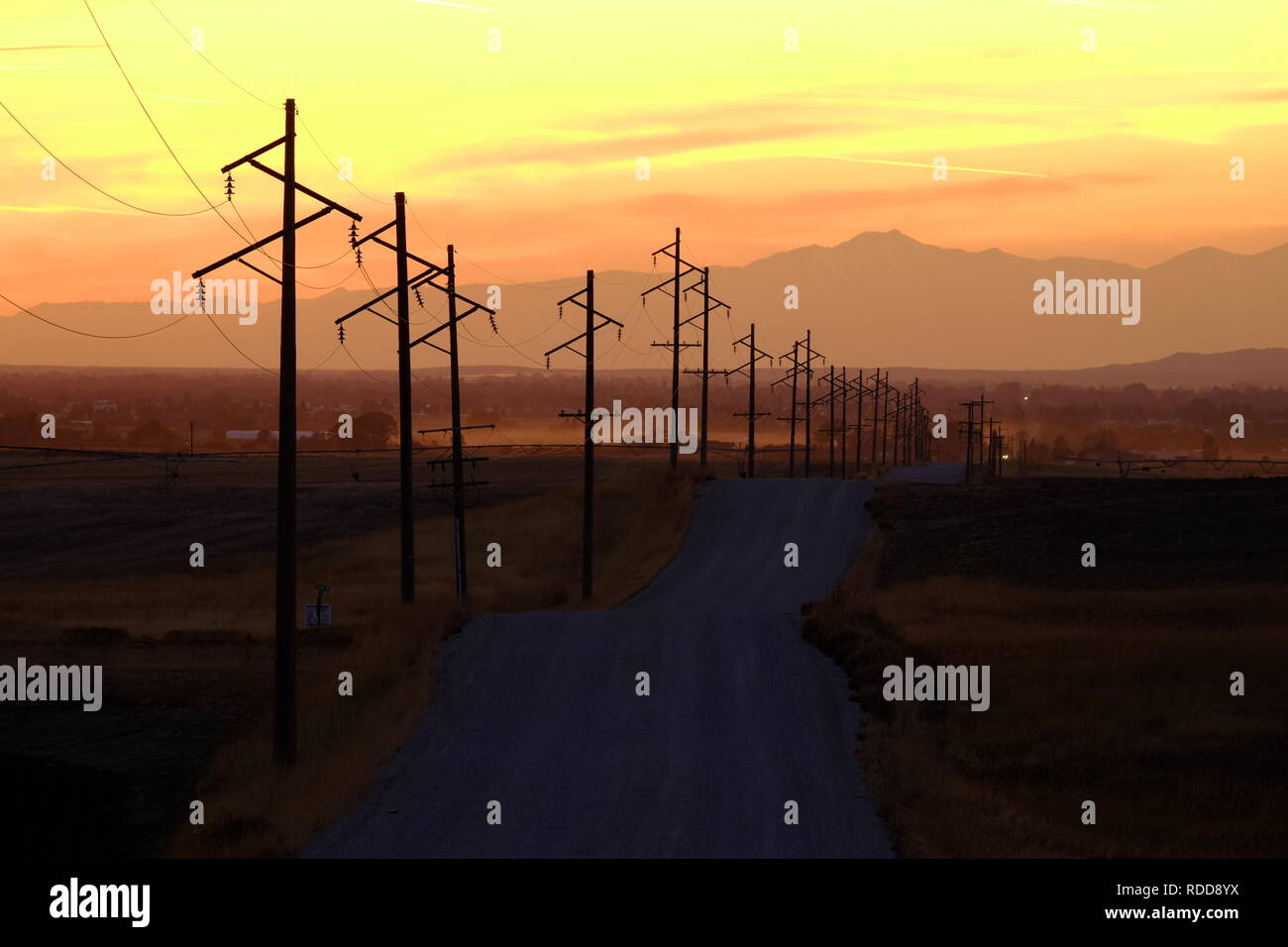 Dettaglio del profilarsi di linee di alimentazione di linee telefoniche all'alba o al tramonto silhouette Foto Stock