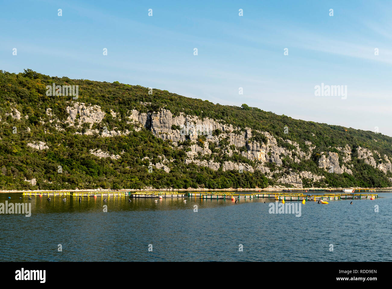 Aziende di allevamento ittico in Limski Canal, Istria, Croazia Foto Stock
