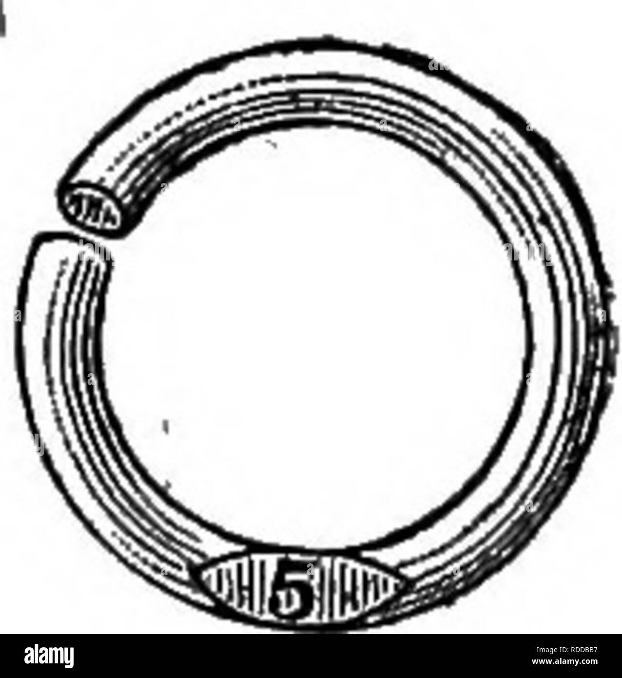 . Elenco dei premi e dei regolamenti che disciplinano la prima esposizione annuale del New York pollame scambio : che si terrà presso il Madison Square Garden di New York, Dicembre 14-21, 1887. Il pollame. Fig. 32. Siringa di pollame, con ricetta. 1 0 centesimi. ai^i Fig. 31. Parrucca'more il metodo migliorato cf tenere l'Uccello con rame- fiocco piastra. Mucca cannelli, argento, 50 cts.; placcato, così cts. Fig. 26. Coltello per allargare l'apertura nella vacca di capezzoli. $2.00.. Fig. 28. Anelli di distinzione. 36 cts. per doz. La fig, 29. Dimensioni di pollame. Ogni,. Si prega di notare che queste immagini vengono estratte dalla pagina sottoposta a scansione di immagini che possono essere state Foto Stock