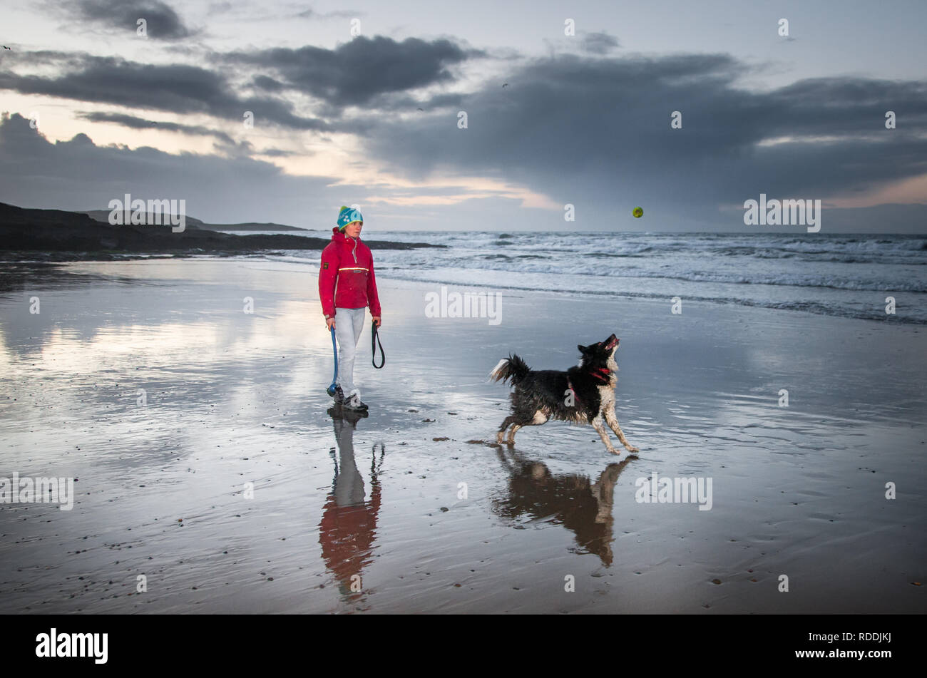 Garrettstown, Cork, Irlanda. 18 gennaio, 2019. Ruth Herman da Kinsale giocare a palla con il suo cane Broccie prima del sorgere del sole a Garrettstown, Co. Cork, Irlanda. Credito: David Creedon/Alamy Live News Foto Stock