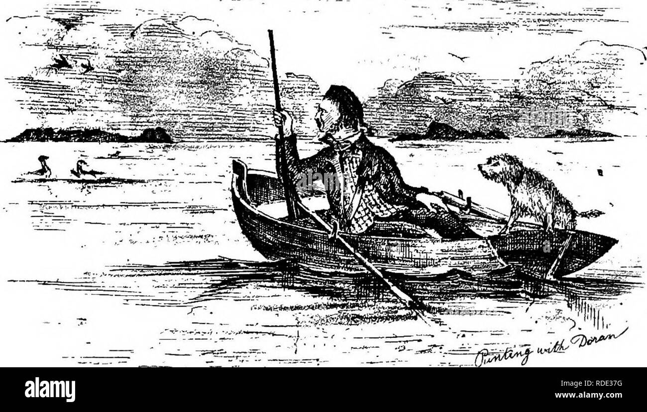 . Gli uccelli di Iona & Mull. Gli uccelli. 64 GLI UCCELLI DI IONE A E MTJLL. molto occupato la pesca e la chiamata a un altro con forte voce rauca urla. Ho remato fino in prossimità di uno, e sparò una carica di n. 7 In lui a trenta metri e, senza fermarsi, tenutasi a nella direzione della sua consorte, che si era buttata alla relazione, ma è aumentata nuovamente vicino alla barca e un altro tiro teso sul suo retro. Il terzo non era molto spaventato, ma non mi avvicino a lui, e non ero molto ansioso di perseguire lui. Questi sono molto grandi uccelli, e il loro peso, sono certo, quattordici libbre. ciascuno, anche se non ho wei Foto Stock . Gli uccelli di Iona & Mull. Gli uccelli. 64 GLI UCCELLI DI IONE A E MTJLL. molto occupato la pesca e la chiamata a un altro con forte voce rauca urla. Ho remato fino in prossimità di uno, e sparò una carica di n. 7 In lui a trenta metri e, senza fermarsi, tenutasi a nella direzione della sua consorte, che si era buttata alla relazione, ma è aumentata nuovamente vicino alla barca e un altro tiro teso sul suo retro. Il terzo non era molto spaventato, ma non mi avvicino a lui, e non ero molto ansioso di perseguire lui. Questi sono molto grandi uccelli, e il loro peso, sono certo, quattordici libbre. ciascuno, anche se non ho wei Foto Stock