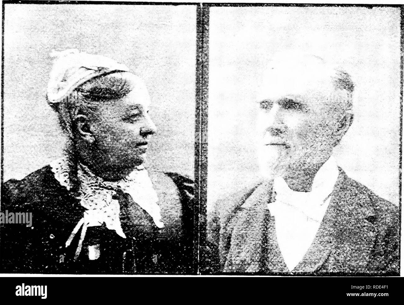 . La cultura degli agrumi in California . Agrumi; frutti-coltura. Il OKANGE IN CALIFORNIA varietà. 55 trovato uguale al più stravagante e relazioni delle sue dimensioni e qualità, e gli alberi sono stati molto prolifico in quella sezione. Gli alberi inviato al Florida prodotti altrettanto buoni frutti, ma non hanno saputo tenere bene. Questo è il motivo per cui molti frutti-coltivatori pensava che ci fosse più di una varietà nel sacco di alberi importati dal Brasile, ma la differenza di fecondità è venuto da cause climatiche, come è stato più ampiamente dimostrato da molti anni di esperienza in tutti i arancione-crescenti settori della cou Foto Stock