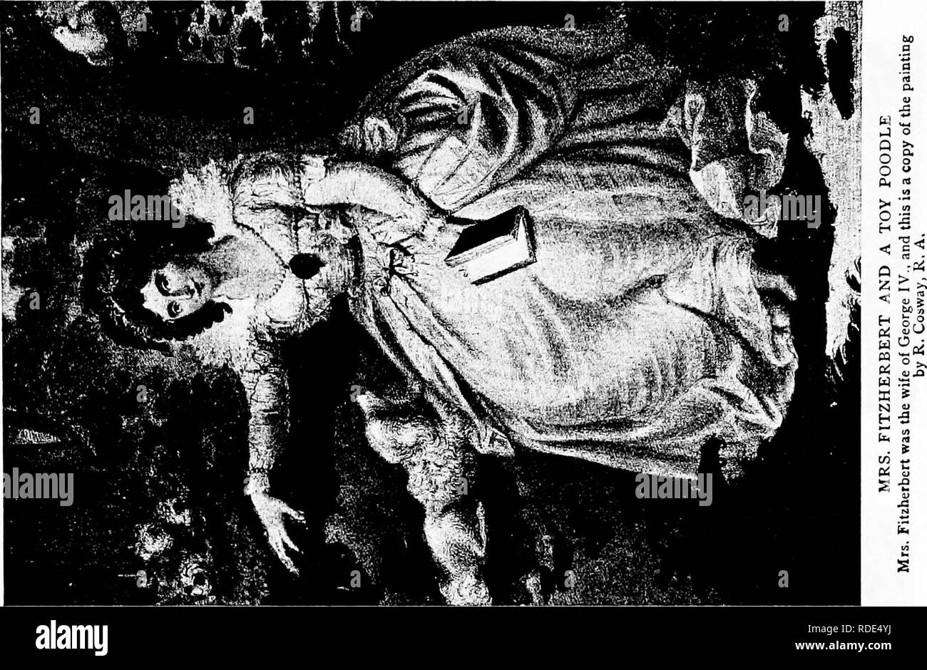 . Il cane prenota : una storia popolare del cane, con informazioni pratiche di cura e gestione della casa, kennel, e mostra i cani e le descrizioni di tutte le razze importanti . I cani. "Â â ' â â % -â â ^.. w^.^ â "â *; â â ''-'â -' â "^t%'' 'â ^^:'" â ' â"¢ -^"I^: ""â"¢!" "â '"V - â ^.â ^. Â Â .-."-"â â .:.''T^Wi ^^k^^ t^w-: ..^^jms^^^^m ^^0 â jr - - :â ,^ lH'ijfc- ;^^P^'^ â j""". -I^."v-t^^iB â vC:-'-'*:' k.â ft "4 ' ' ' ' ' ' 1^^Â¥ ^ ^"^Bi ' ' 'â *.â â - -* â "â â â . Â "Â "Â ' -' 1^ ^BteS :j-^- : . .. HhL ^Â" - " . Â ' â :. * ^m'':'^'M Foto Stock