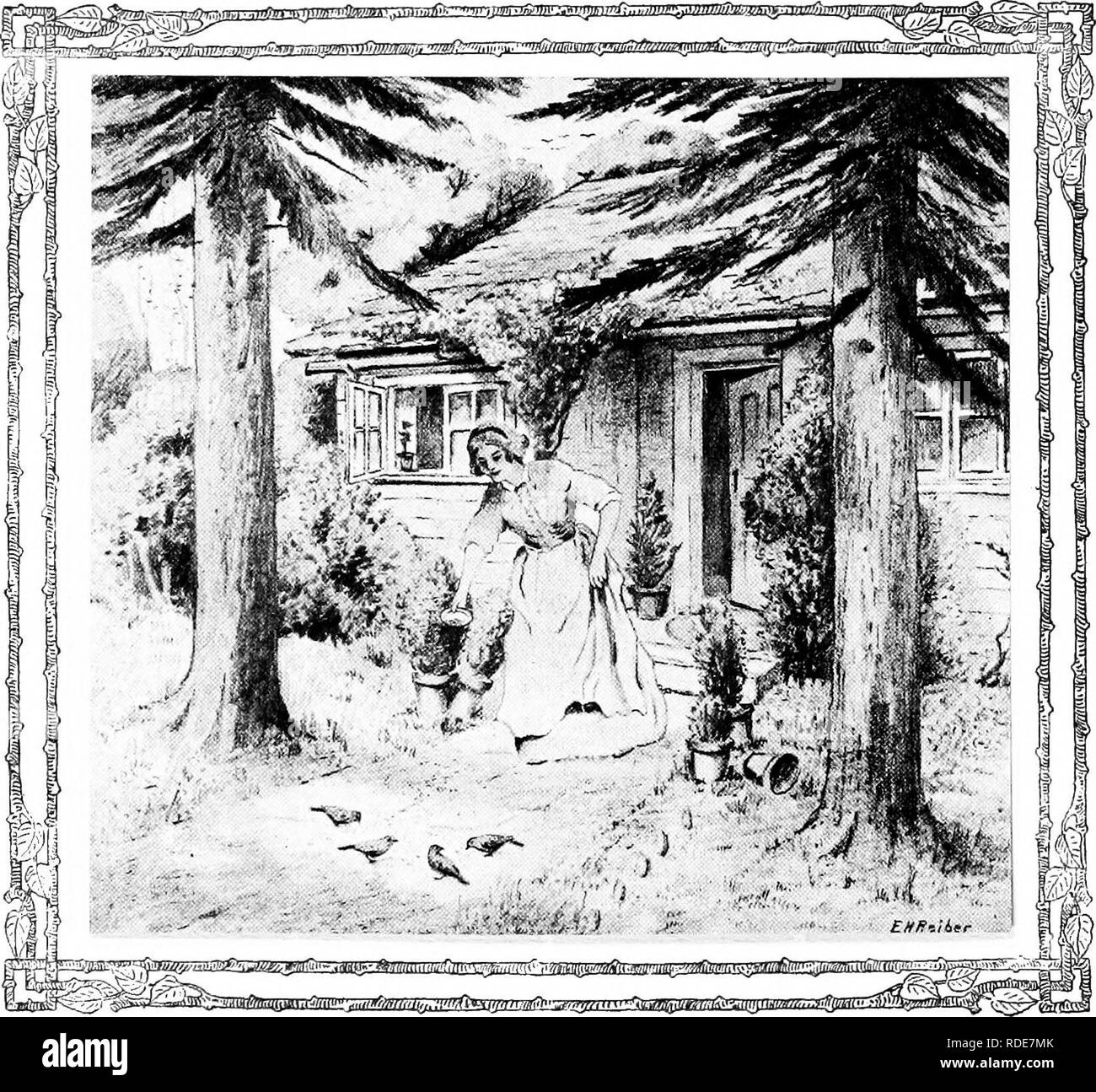 . Uccelli e bacche di mia nonna's Garden . Bird attirare; uccelli; bacche. Anche l'shyest del giardino hirds mai stati disturbati hy alla nonna ^presenza.. Si prega di notare che queste immagini vengono estratte dalla pagina sottoposta a scansione di immagini che possono essere state migliorate digitalmente per la leggibilità - Colorazione e aspetto di queste illustrazioni potrebbero non perfettamente assomigliano al lavoro originale. Bird Man. West Webster, N. Y. E. H. Reiber Foto Stock