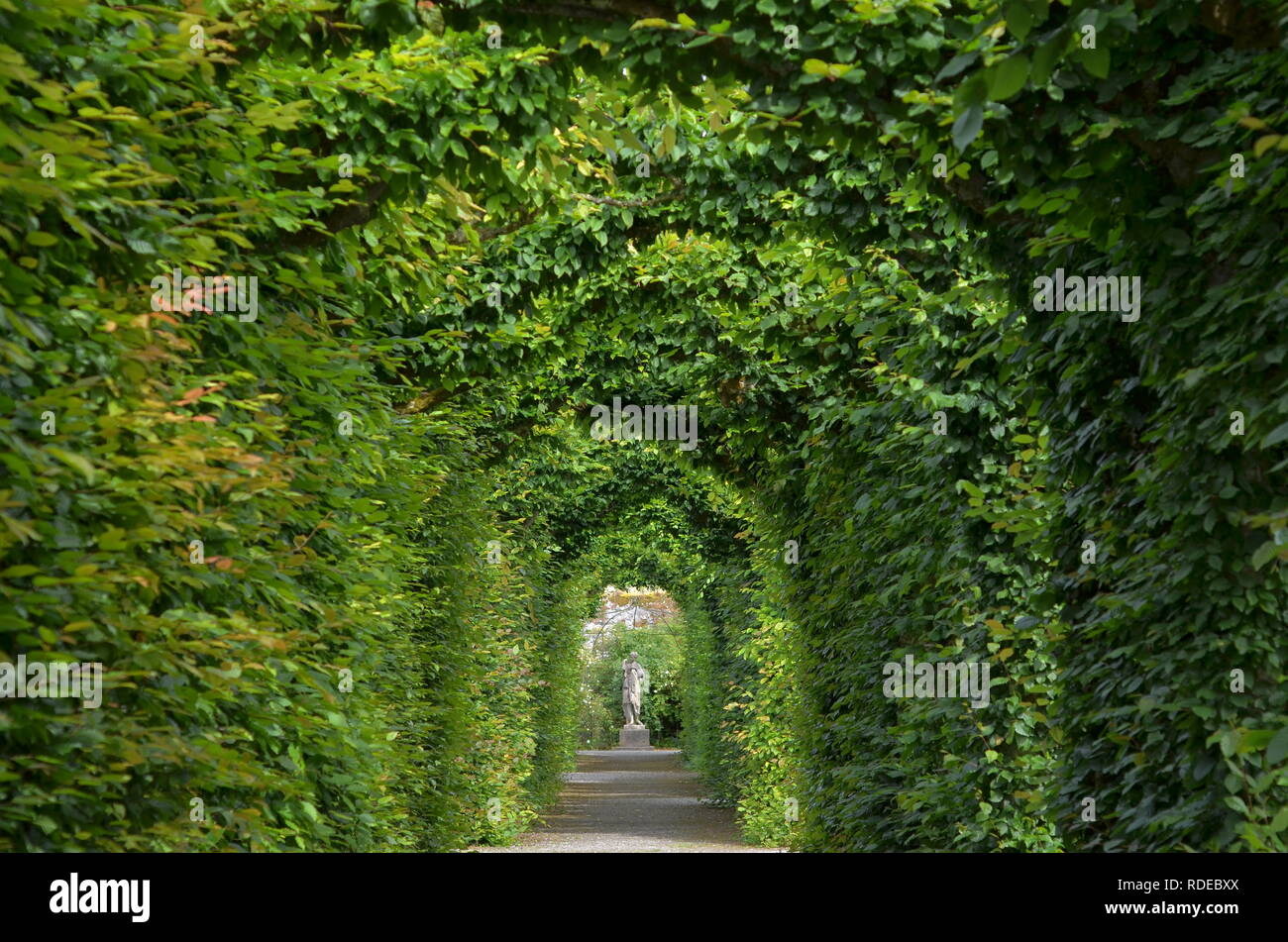 Tunel verde Foto Stock