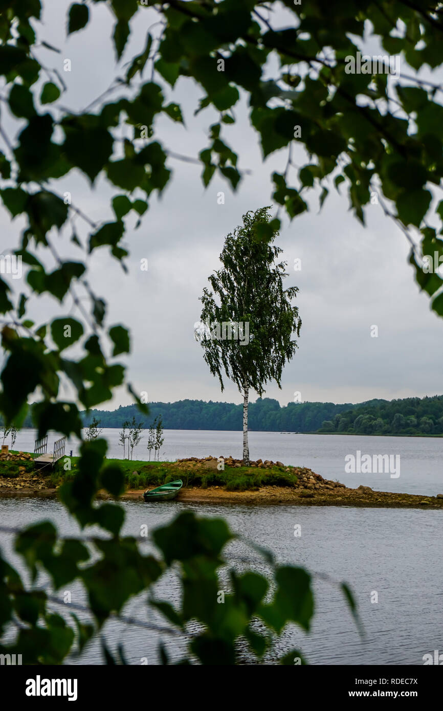 Fiume Daugava vicino Koknese. Isola con la betulla e in barca nel fiume Daugava. Paesaggio con la betulla a costa Daugava. Classico paesaggio lettone. Il lettone c Foto Stock