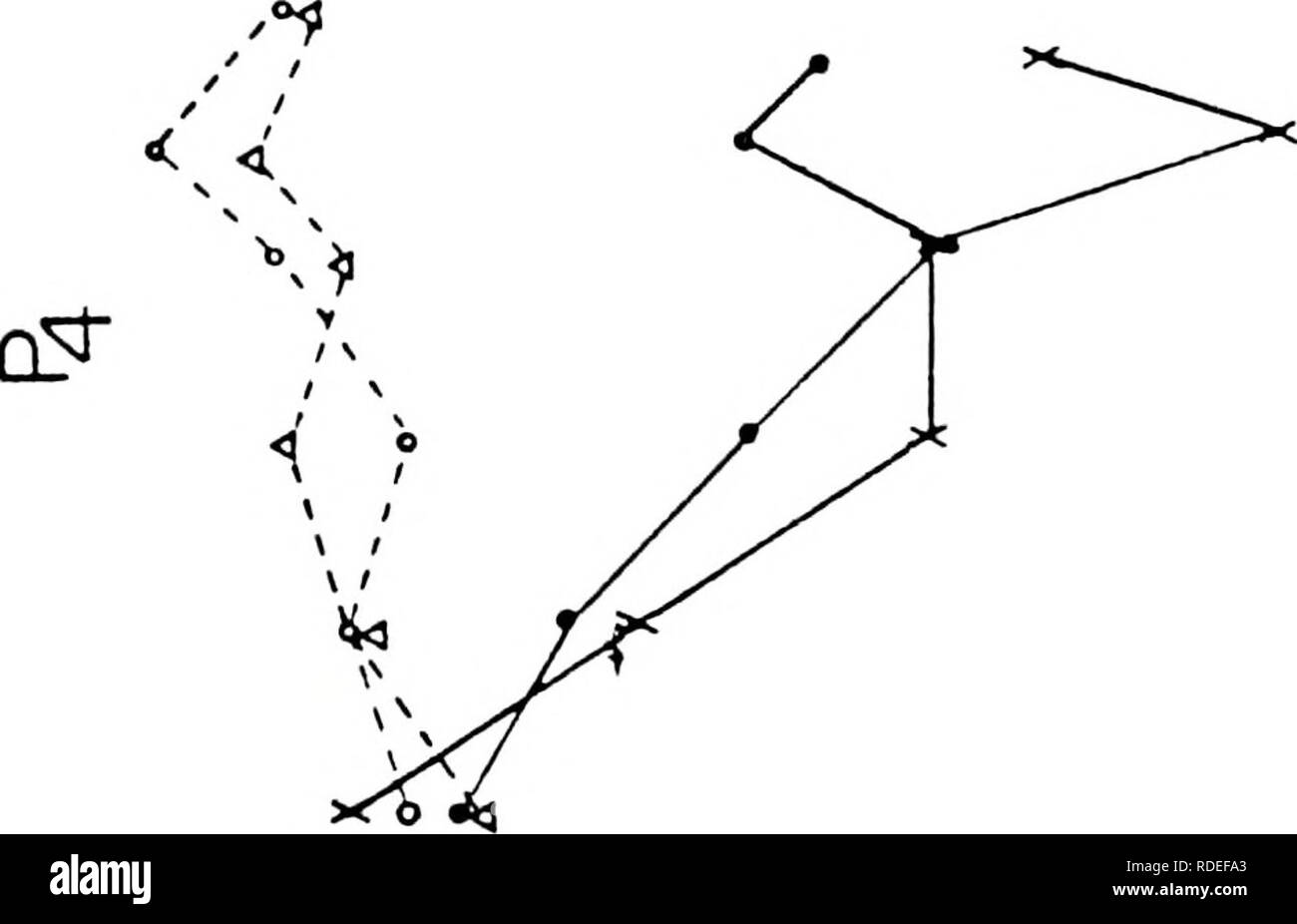 . Effetti di intenso rumore acustico sulla funzione cocleare nel neonato e cavie adulte. La sordità, il rumore indotto; coclea; cavie. 50. - CD - Co 00. Si prega di notare che queste immagini vengono estratte dalla pagina sottoposta a scansione di immagini che possono essere state migliorate digitalmente per la leggibilità - Colorazione e aspetto di queste illustrazioni potrebbero non perfettamente assomigliano al lavoro originale. Abrams, Harvey Bruce. Foto Stock
