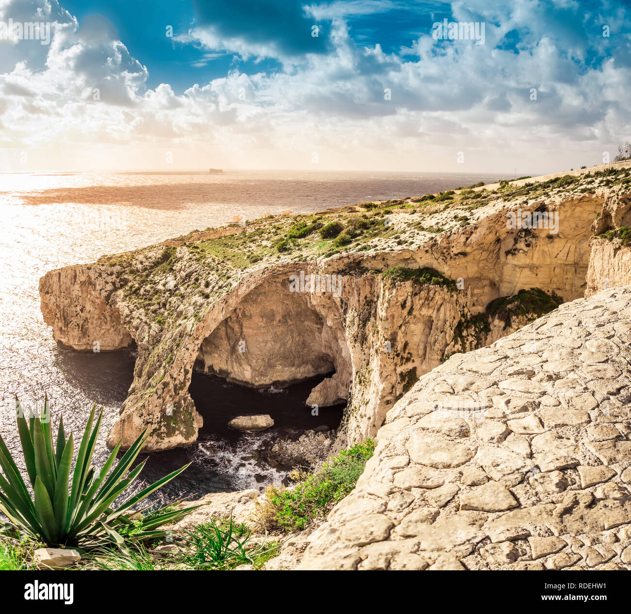 Blue Grotto, Malta. Pietra naturale arch e grotte marine e impianto di agave in primo piano. Fantastica vista sul mare isola di Malta. Foto Stock