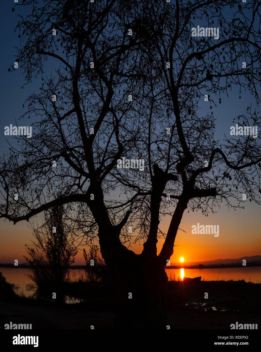 Lago di Albufera di Valencia. Spagna Foto Stock