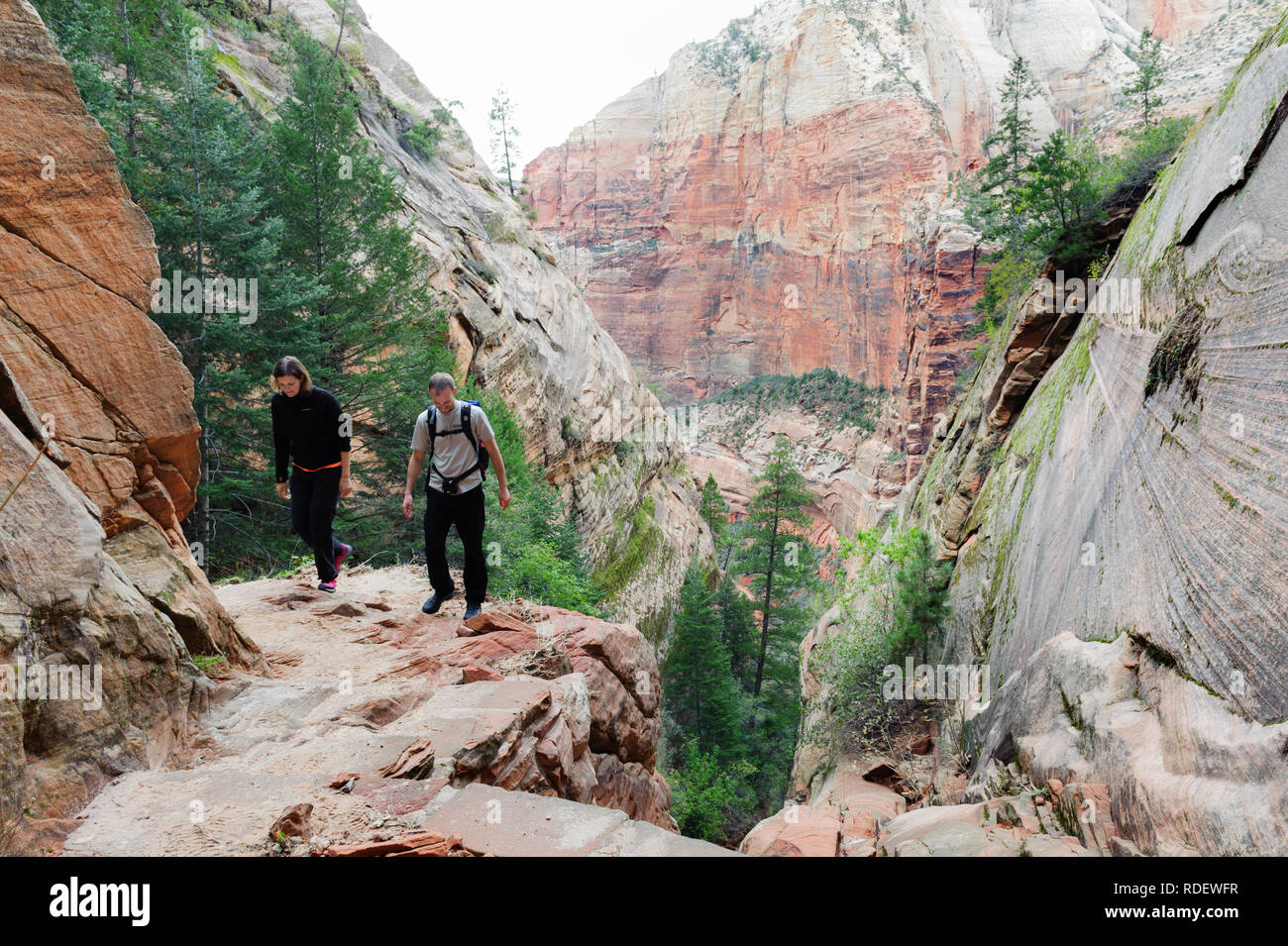 Escursionismo coppia su Hidden Canyon Trail nel Parco Nazionale di Zion, Utah, Stati Uniti d'America. Foto Stock