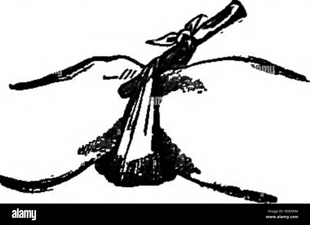 . Il senso comune nel cantiere di pollame : una storia di fallimenti e di successi. Tra cui un resoconto completo di 1000 galline e per ciò che ha fatto con una descrizione completa delle case, stie, recinzioni, corre, metodi di alimentazione, allevamento, marketing, ecc. ... Il pollame. ^ ^%% -^ sole-^una familiarità descrizione dei suoi fenomeni. Dal Rev. Thomas si- iam Webb. Autore "di oggetti celesti per telescopi comune." 80 pagine; illus- quotato da 17 incisioni. Un libro per ogni amante della natura, perché semplicemente e completamente descrive il sole, racconta di macchie, eclissi, ecc., in uno stile molto attraente, così t Foto Stock