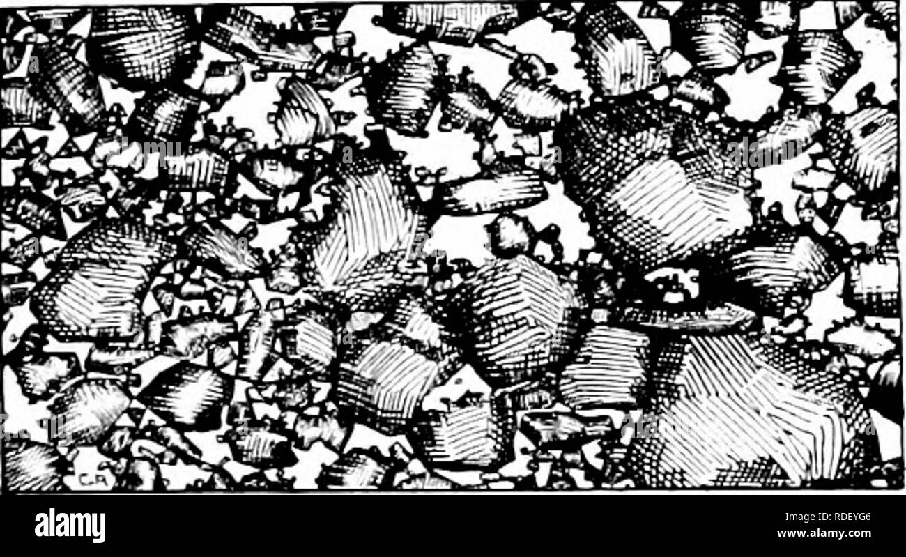 . Dry-agricoltura : un sistema di agricoltura per i paesi al di sotto di una piovosità bassa . L'aridocoltura. 56 DRY-agricoltura in questo collegamento che chfferences climatiche maggio e di solito non influenza significativamente il carattere di suoli formati da uno e lo stesso tipo di roccia. Caratteristiche dei terreni aridi del risultato netto del suolo-processi di formatura sopra descritto è una polvere njck contenente una grande varietà di dimensioni di grani di terreno mescolato con argilla. Il suolo maggiore di grani di sabbia chiamato; minore, limo, e quelli che sono così piccole che in Fig. 17. Il suolo è una miscela di particelle di tllCV fare UOt verv Settle Foto Stock