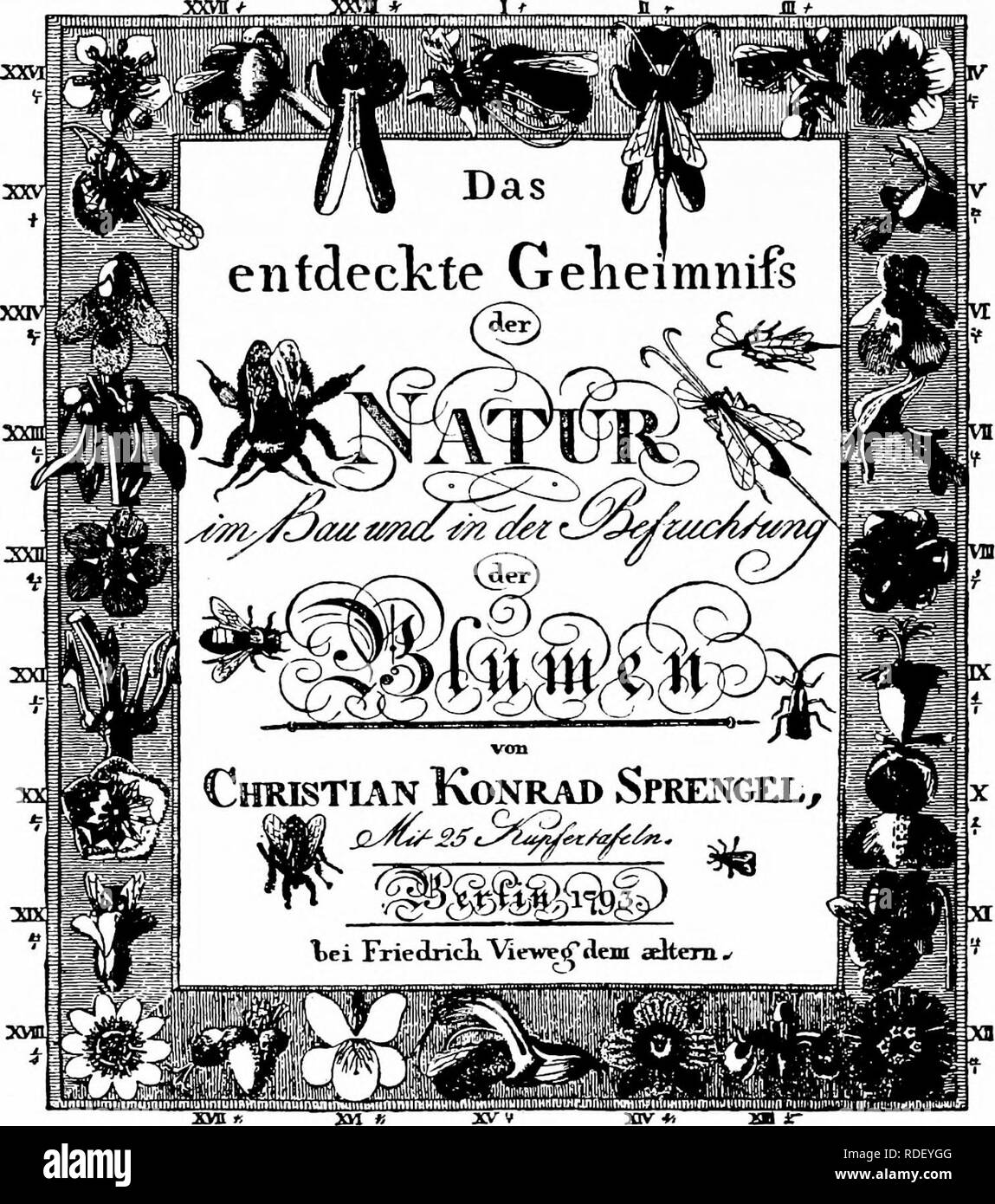 . Manuale di impollinazione dei fiori : basato su Hermann Mu?iler di lavoro "La fertilizzazione di fiori da insetti' . La fecondazione di piante. Introduzione di alcuni insetti, uno deve al tempo stesso di trovare non è improbabile che ci dovrebbe essere un po' di prestazione per impedire questo nettare di essere viziati da pioggia e che questi peli possono essere stati messi qui per il raggiungimento di questo scopo. ... Nella seguente estate ho esaminato la dimentica-me-non {Myosoiis palustris). Ho trovato non solo che questo fiore ha nettare, ma anche che il nettare è completamente protetto contro la pioggia. Allo stesso ti Foto Stock