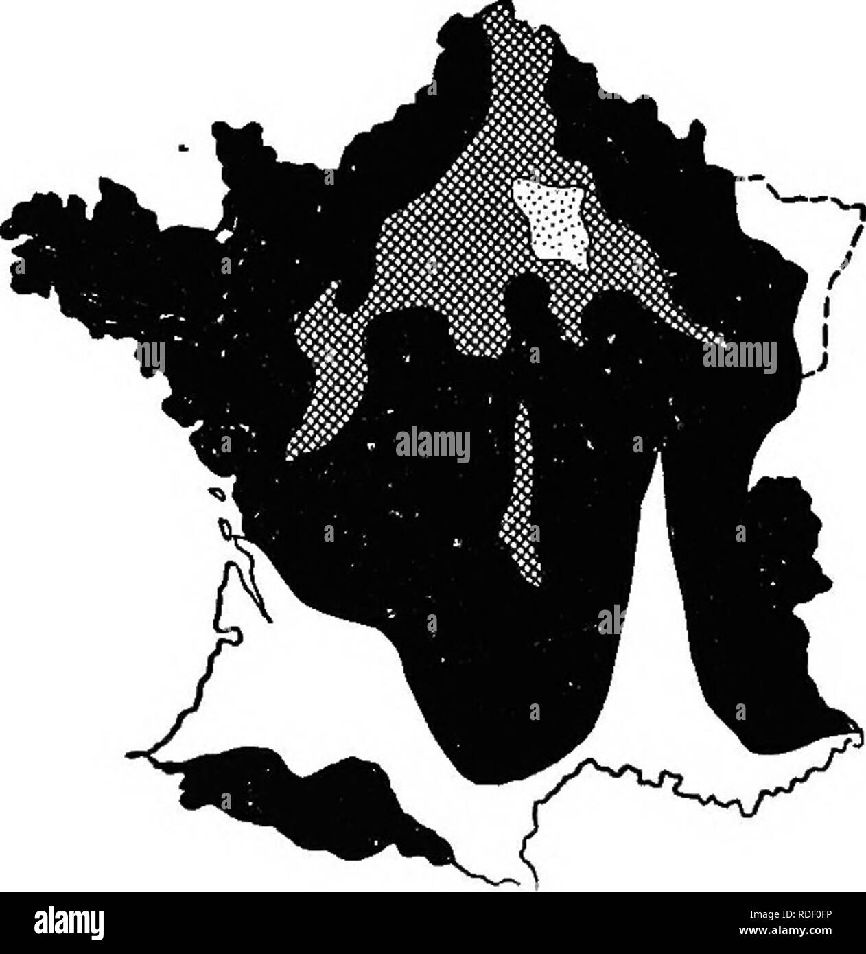 . Studi in francese la silvicoltura . Le foreste e la silvicoltura. 26 regioni boschive e importanti specie la depressione tra l'altopiano centrale e la montagna orientale in via delle Valli del Rh6ne e Sa6ne, attraversa il C6te d'Or hills e così guadagna la valle della Senna; altri costeggiando la base meridionale del C^vennes, raggiunge l'oceano per mezzo della Garonna Valley. Un'altra autostrada naturale attraversando la pianura a ovest dell'altopiano centrale unisce il bacino Senna con quella della Garonna. Clima. - Nord e a nord-ovest della Francia portano una grande resem- blance, entrambi in temperatu Foto Stock