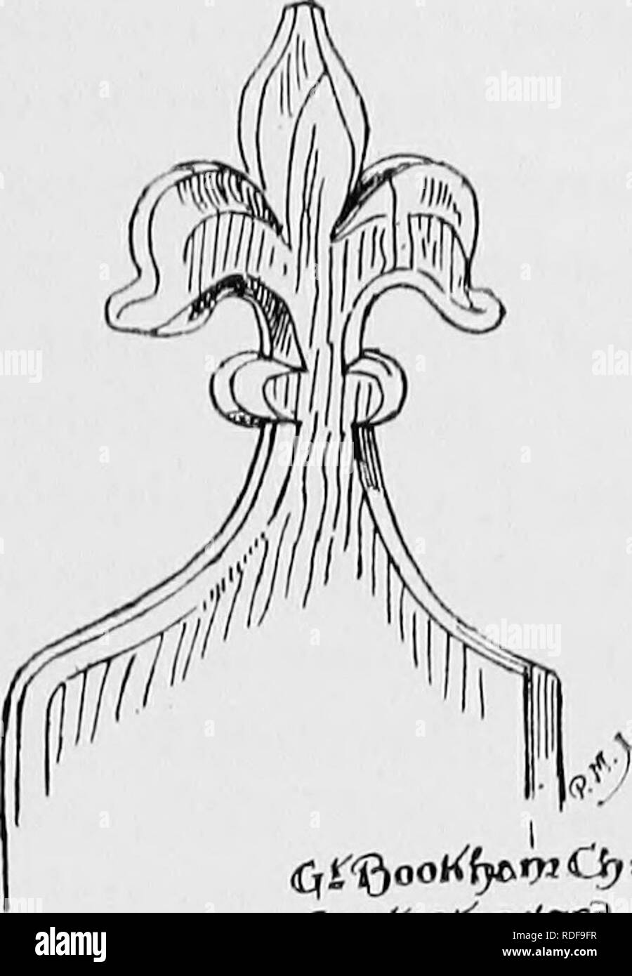 . La storia di Victoria della contea del Surrey. Storia naturale. CbeJs&GT;f)5"71: ^creety. ^lrJ3llor,lvttf) Cr)e BAcepJjor). Si prega di notare che queste immagini vengono estratte dalla pagina sottoposta a scansione di immagini che possono essere state migliorate digitalmente per la leggibilità - Colorazione e aspetto di queste illustrazioni potrebbero non perfettamente assomigliano al lavoro originale. Malden, Henry Elliot, ed. Westminster [A. Constable] Foto Stock