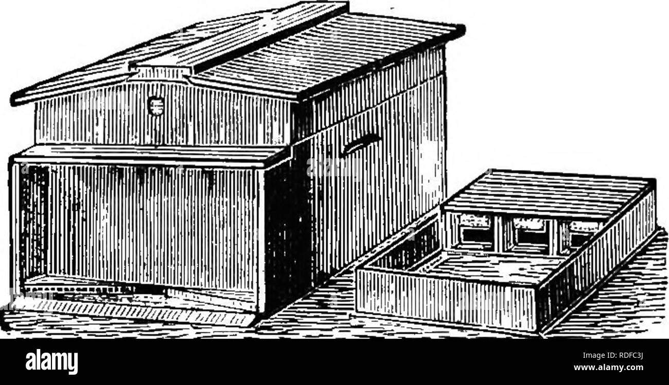 . L'apicoltore's guide : o manuale dell'apiario . La cultura delle api; le api. 178 semplicità Langstroth Hive. Carattere dell'alveare. La caratteristica principale dell'alveare dovrebbe essere la semplicità, escludendo così cassetti e trappole di tutti i tipi. L'alveare dovrebbe essere fatta di buoni di pino o legno bianco, legname stagionato accuratamente, piallato su entrambi i lati e il dipinto di bianco all'esterno. La figura 59 rappresenta un due-storia Langstroth hive. Come sarà visto come questo ha un portico e un fondo pensione saldamente inchiodata all'alveare. Anche se il sig. Langstroth sia desiderata queste caratteristiche e molti ora sono come mentalità, Fig. 60.. Ho One-Story Foto Stock