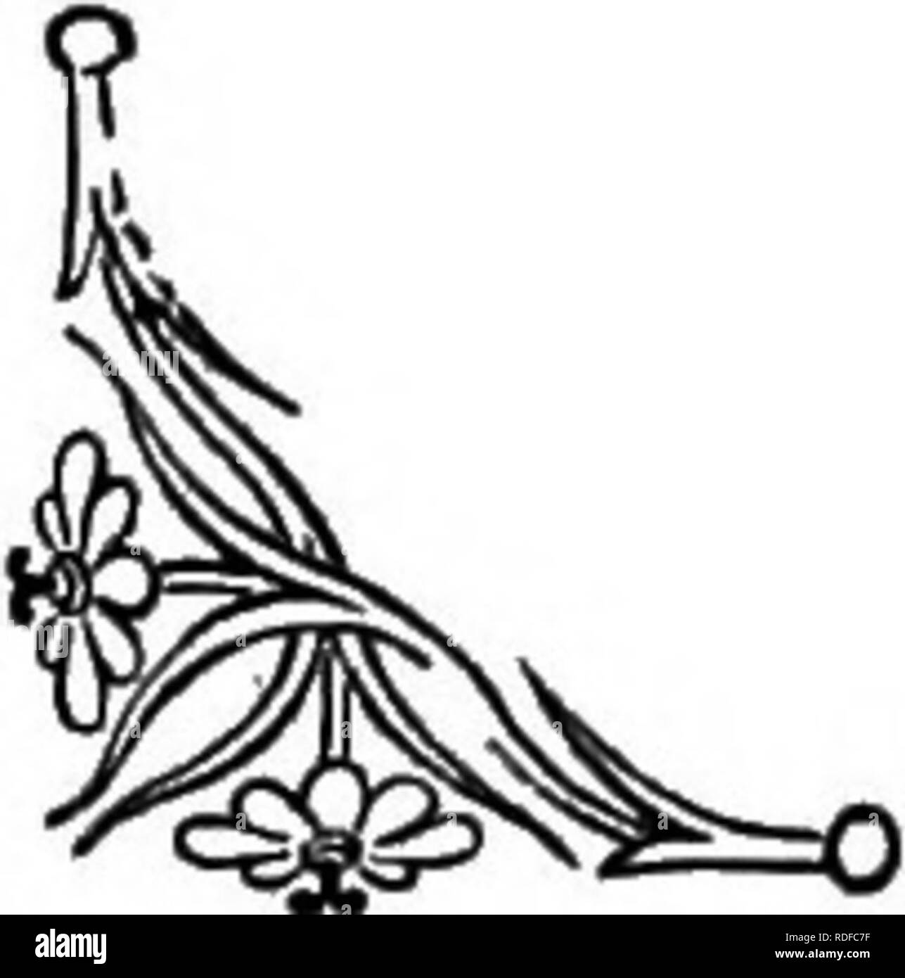 . Il linguaggio dei fiori: o, emblemi floreali di sentimenti, pensieri e sentimenti ... Lingua dei fiori. Il mais papavero. Papavero mais {PapaverRkeas.)-coi^50'LA.Tio^. Le varie specie di semi di papavero sono vistose nel loro apparire- ance, e rese una singolare Farmaco o medicina, oppio, quale prezioso nelle mani di abili praticante, è più pregiudizievole per coloro che sono diventati addicted al suo uso come stimolante. Non possiamo entrare qui in considerazione della temibile conseguenze di indulgere in essa, né del mis- chief effettuata dal suo troppo libera amministrazione come una medicina, nei casi in cui non vi è Foto Stock